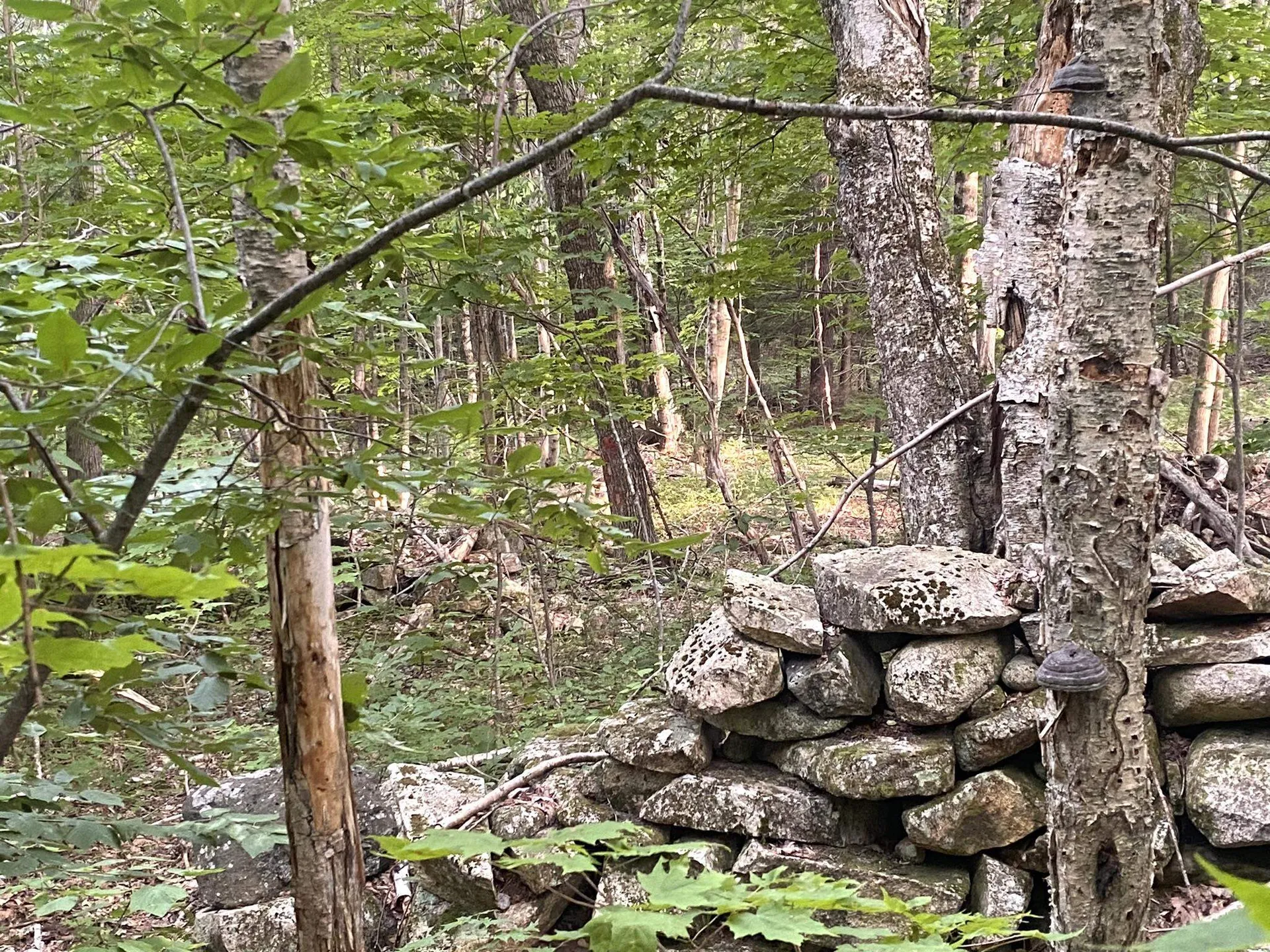 Willis Bean Road Eaton NH 03832