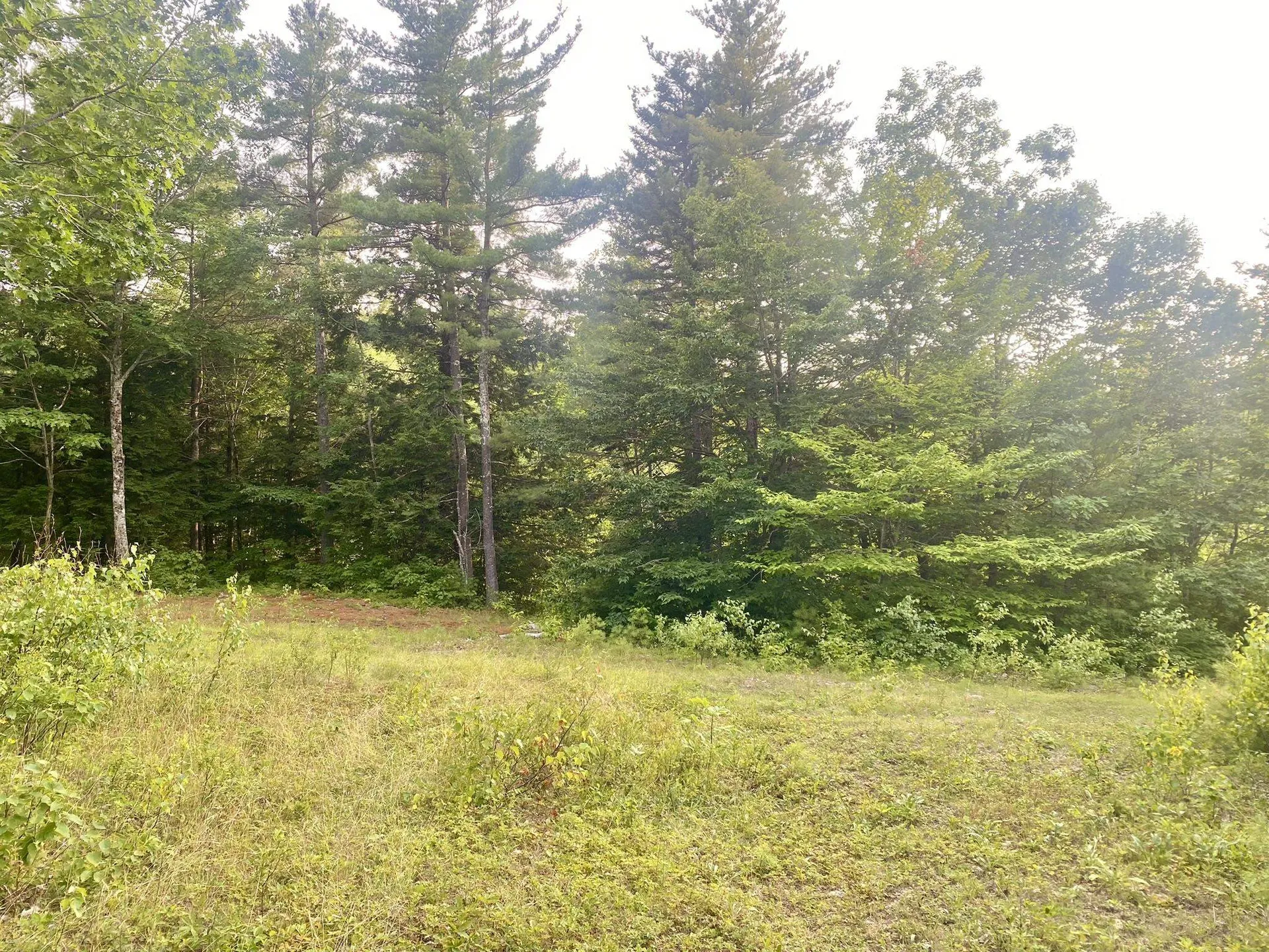 Willis Bean Road Eaton NH 03832