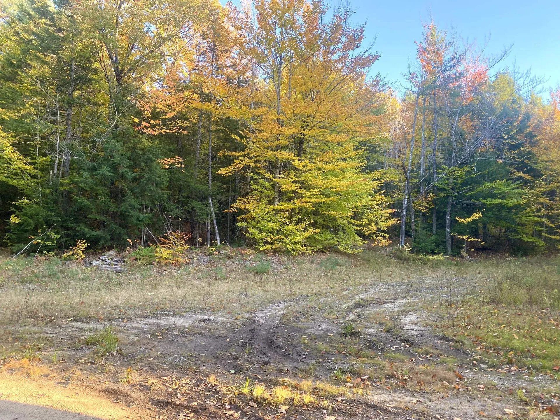 Willis Bean Road Eaton NH 03832