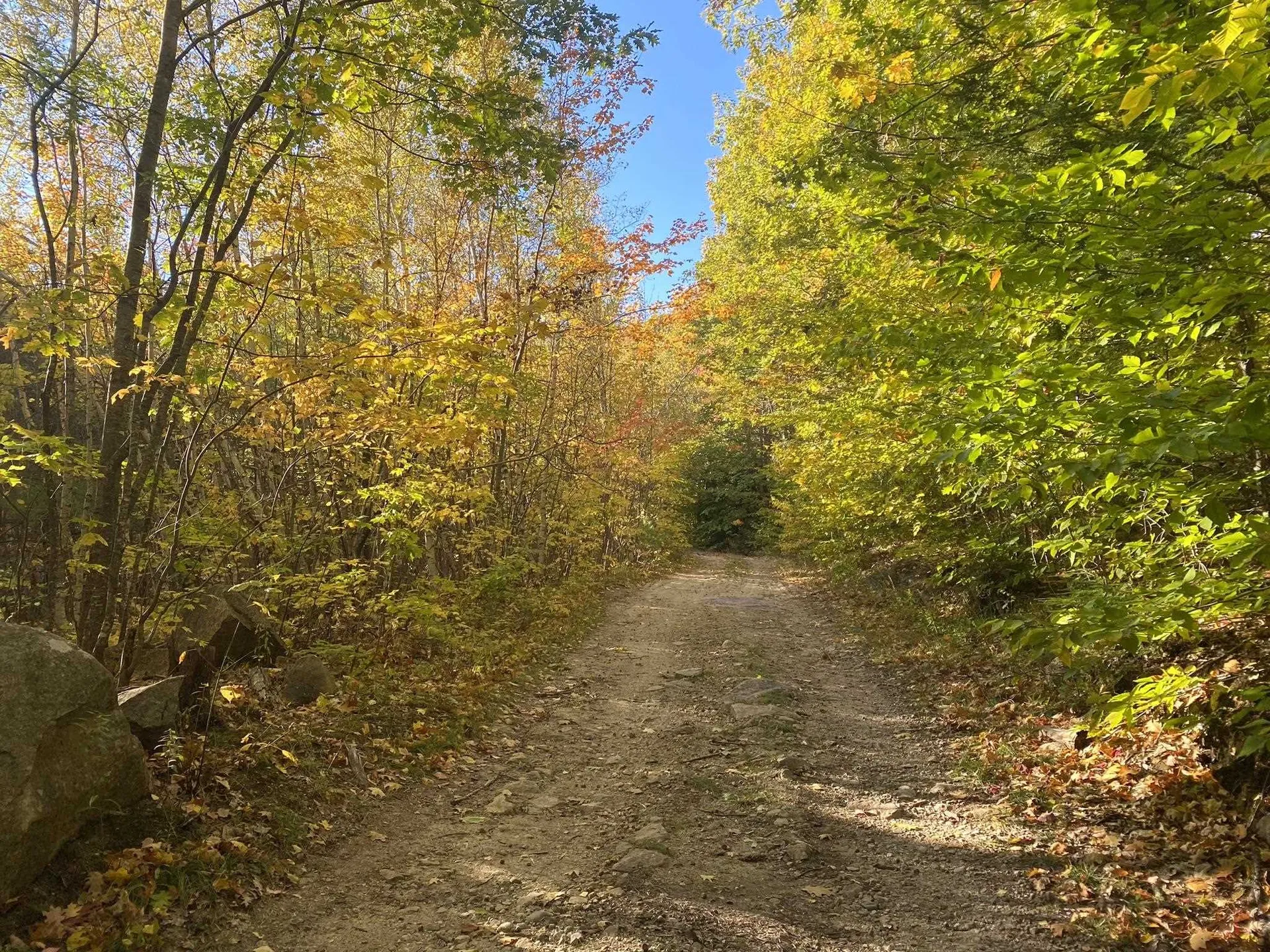 Willis Bean Road Eaton NH 03832