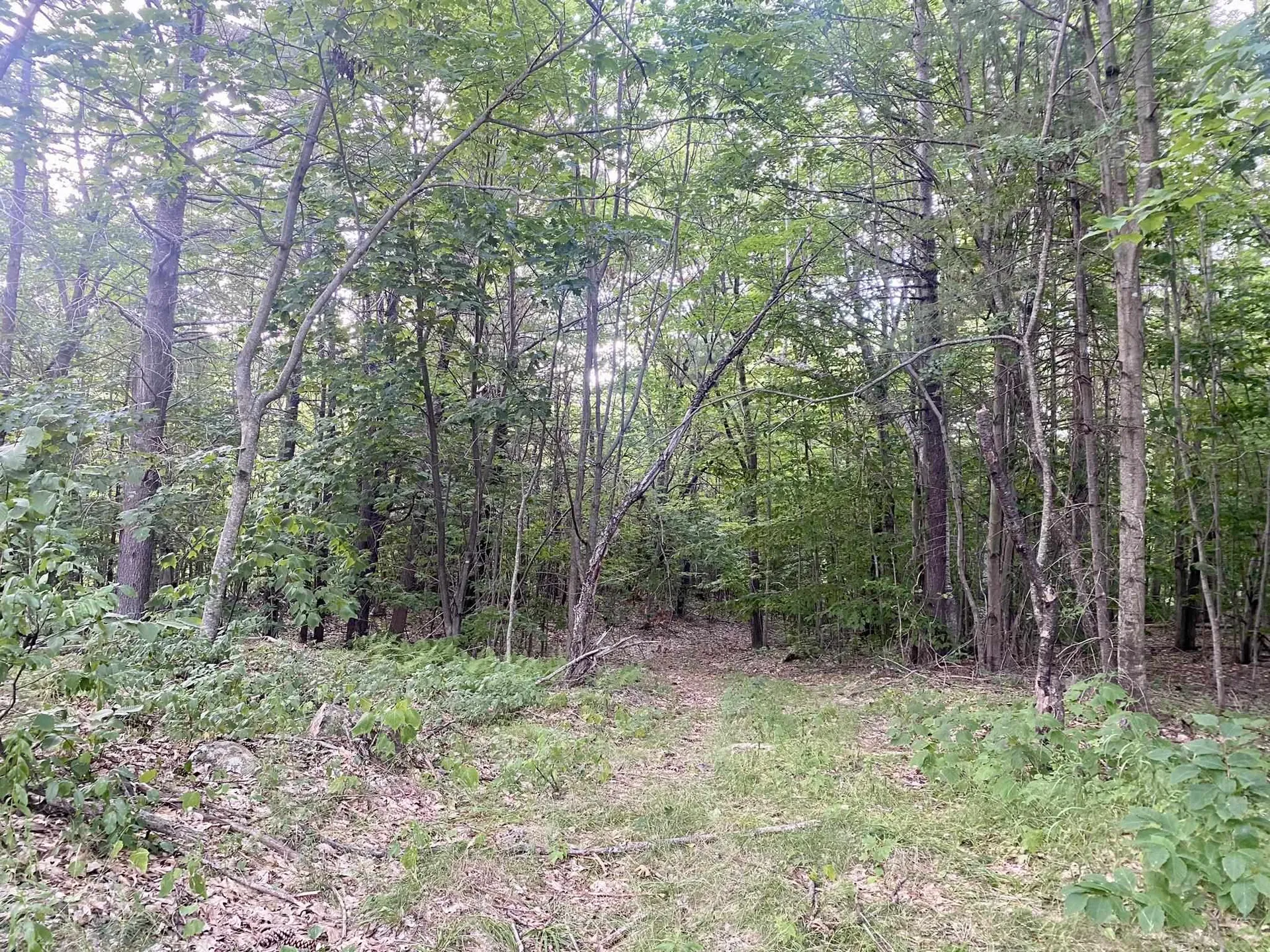 Willis Bean Road Eaton NH 03832