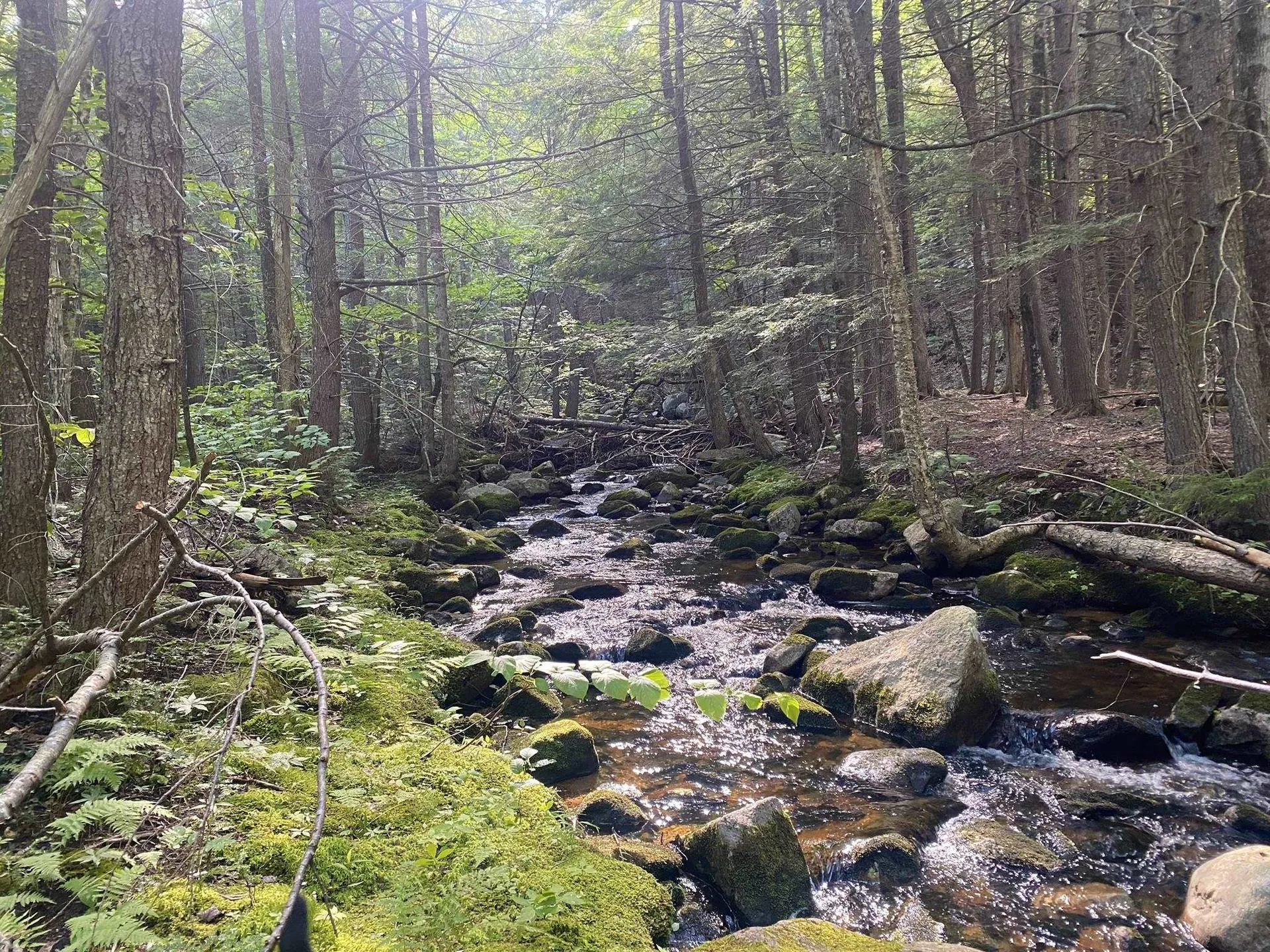 Willis Bean Road Eaton NH 03832