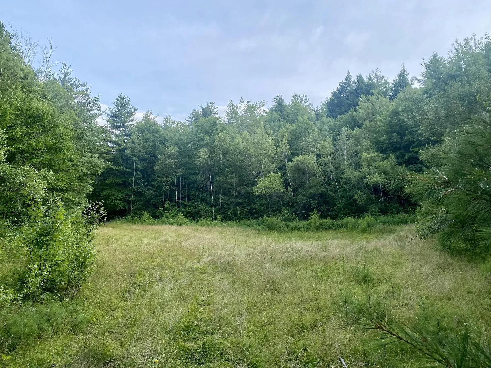 Willis Bean Road Eaton NH 03832