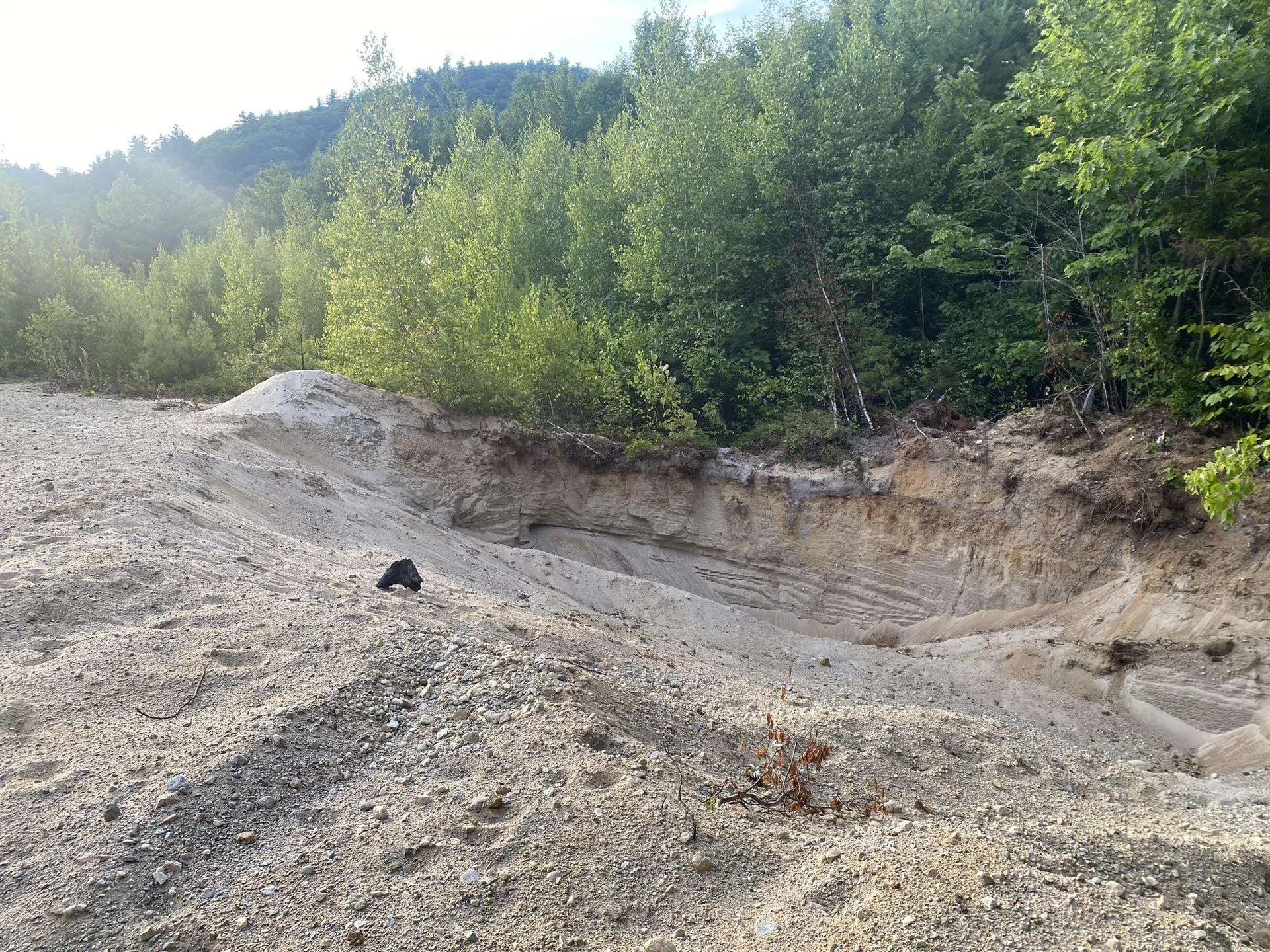 Willis Bean Road Eaton NH 03832