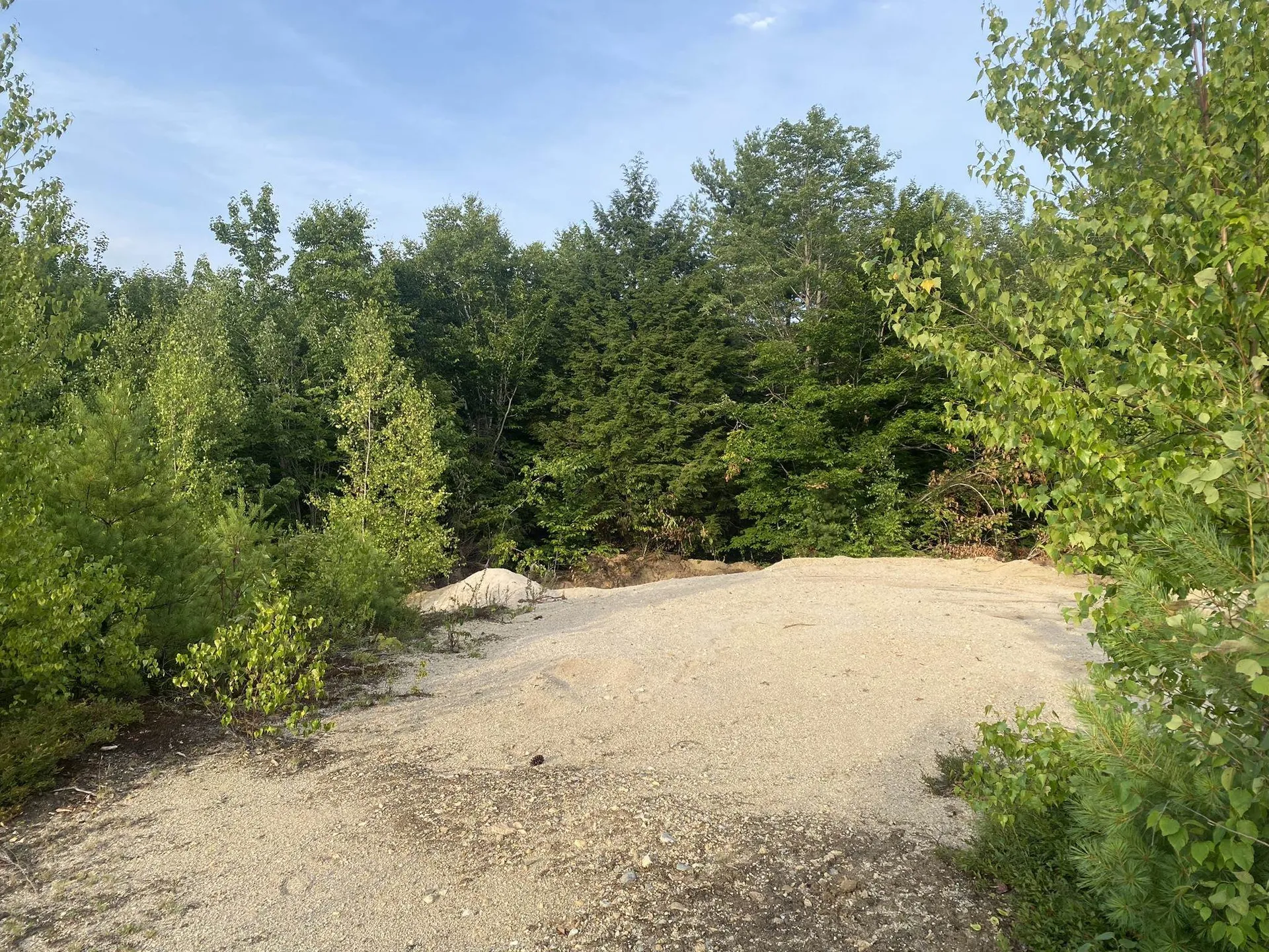 Willis Bean Road Eaton NH 03832