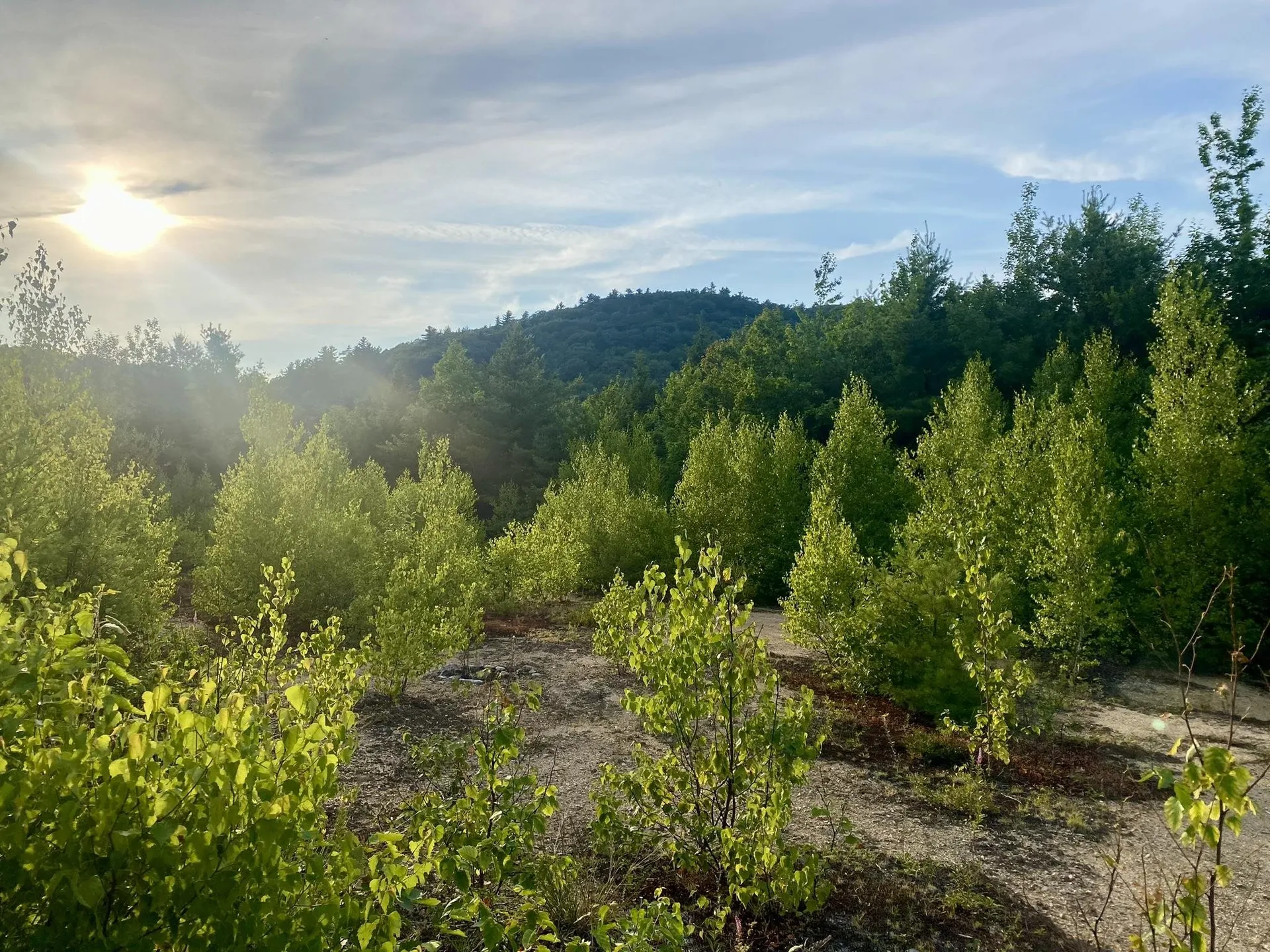 Willis Bean Road Eaton NH 03832
