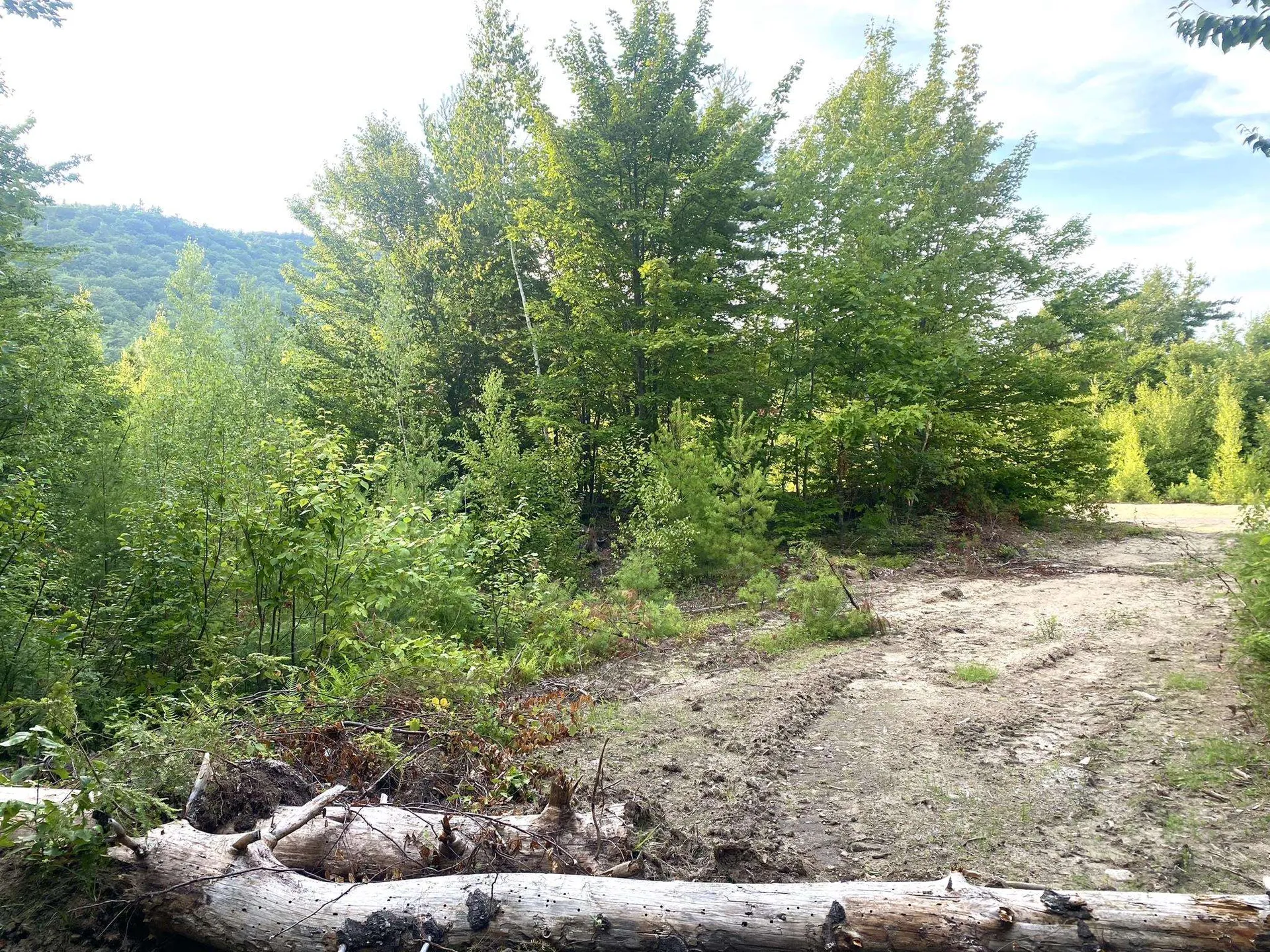 Willis Bean Road Eaton NH 03832