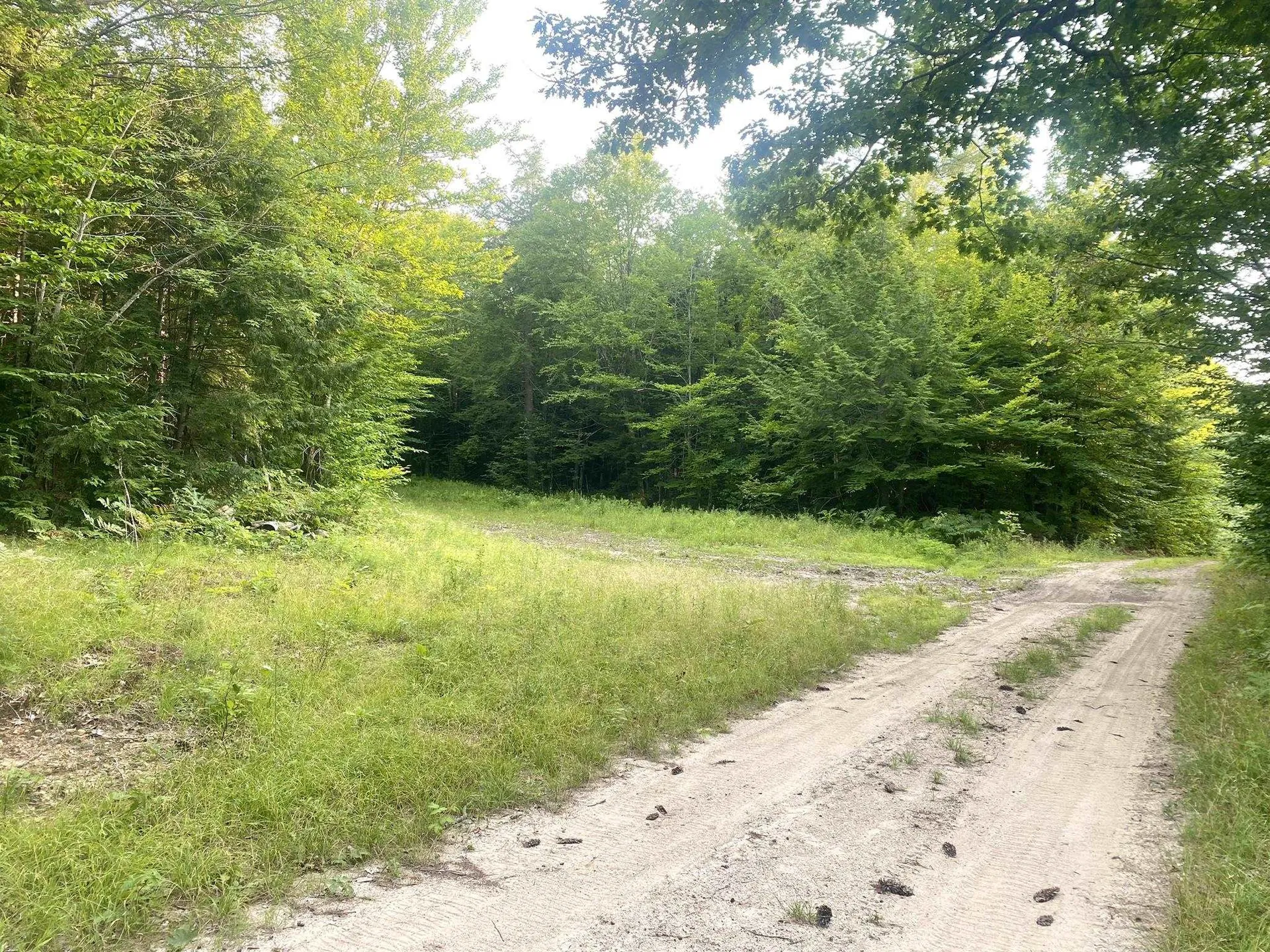 Willis Bean Road Eaton NH 03832