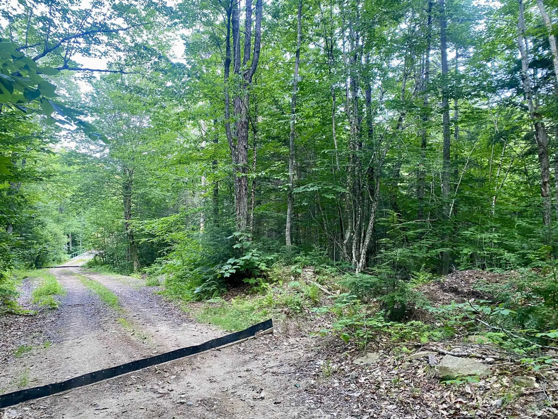 Willis Bean Road Eaton NH 03832