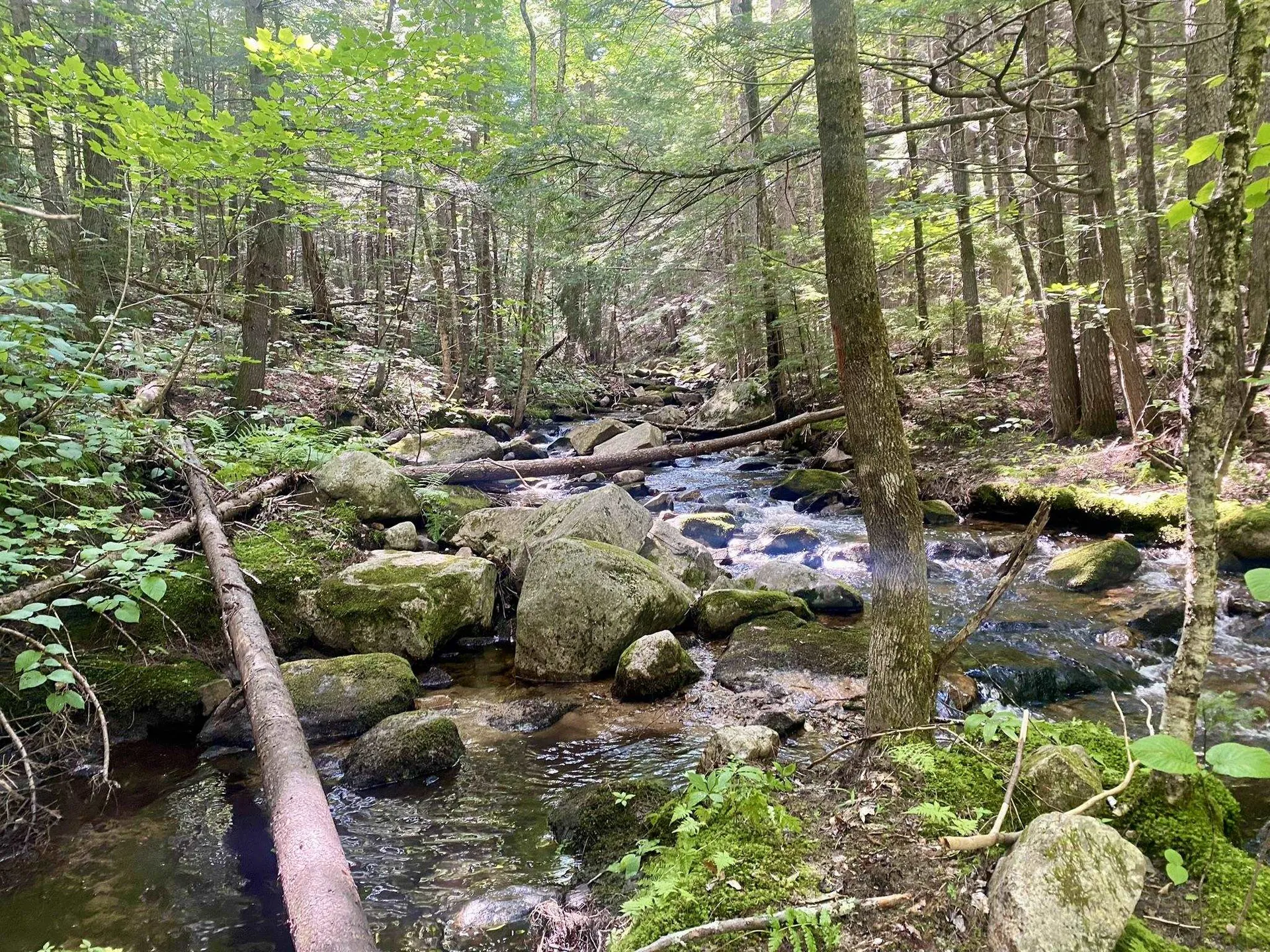 Willis Bean Road Eaton NH 03832