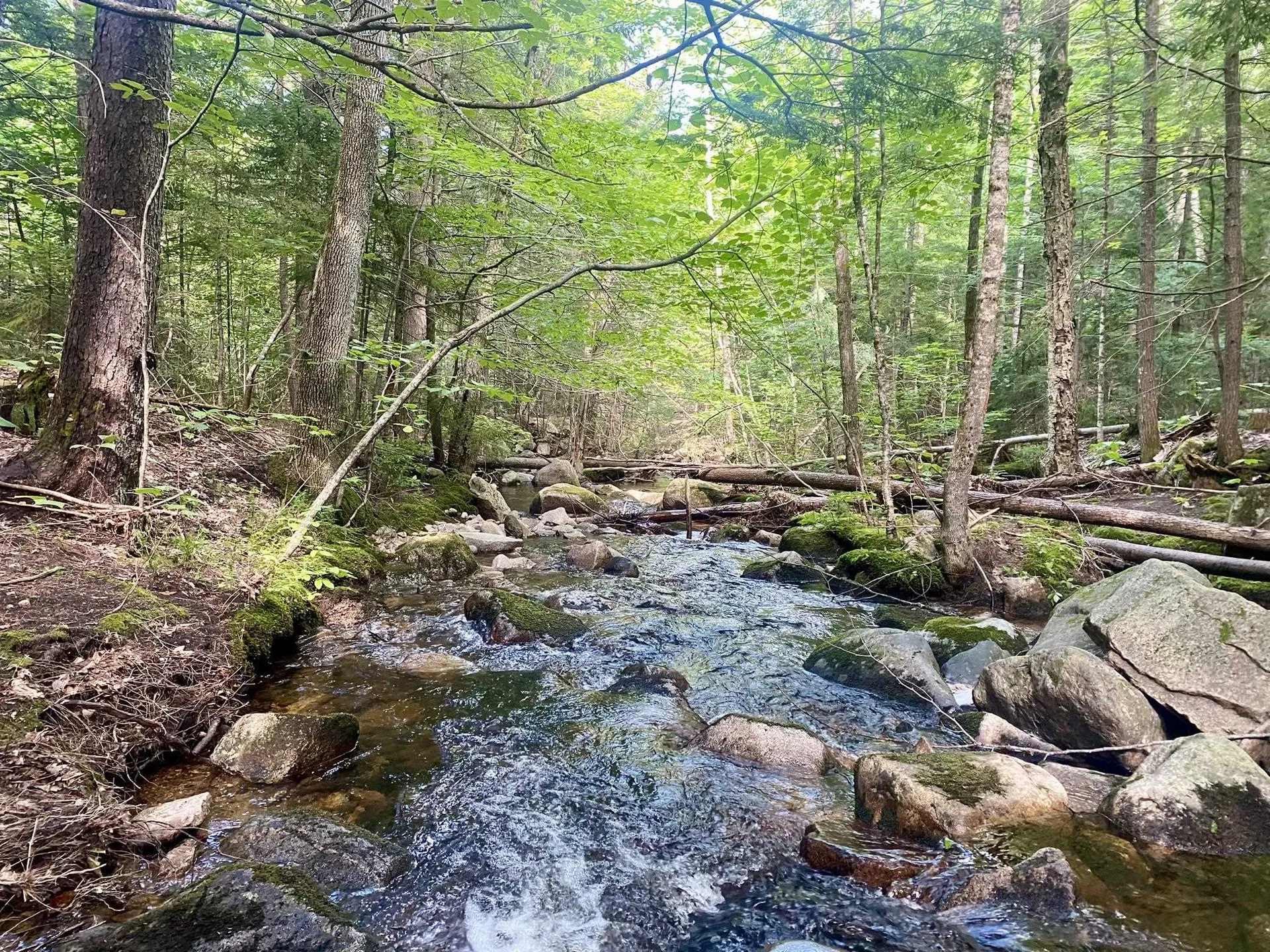 Willis Bean Road Eaton NH 03832
