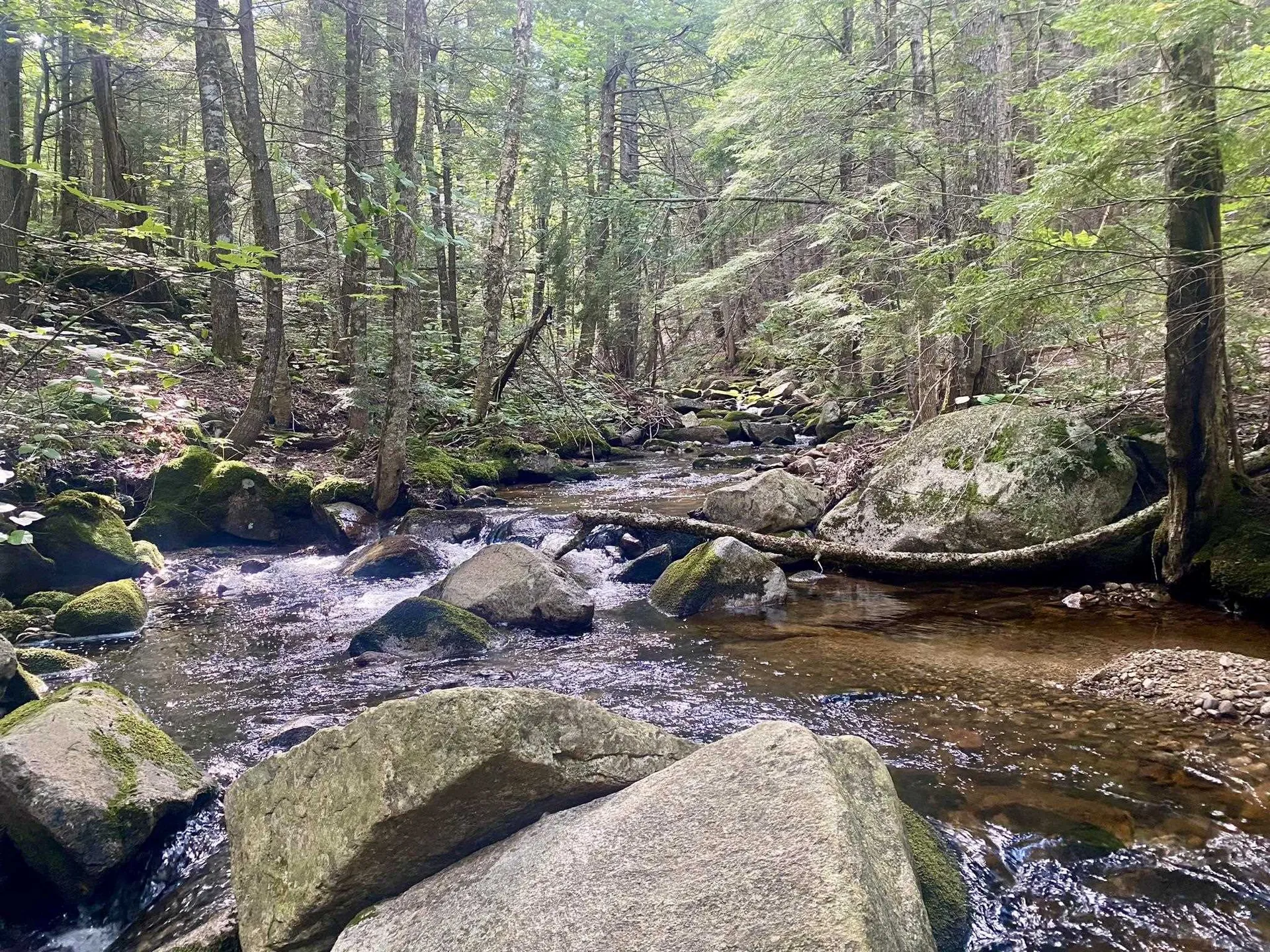 Willis Bean Road Eaton NH 03832