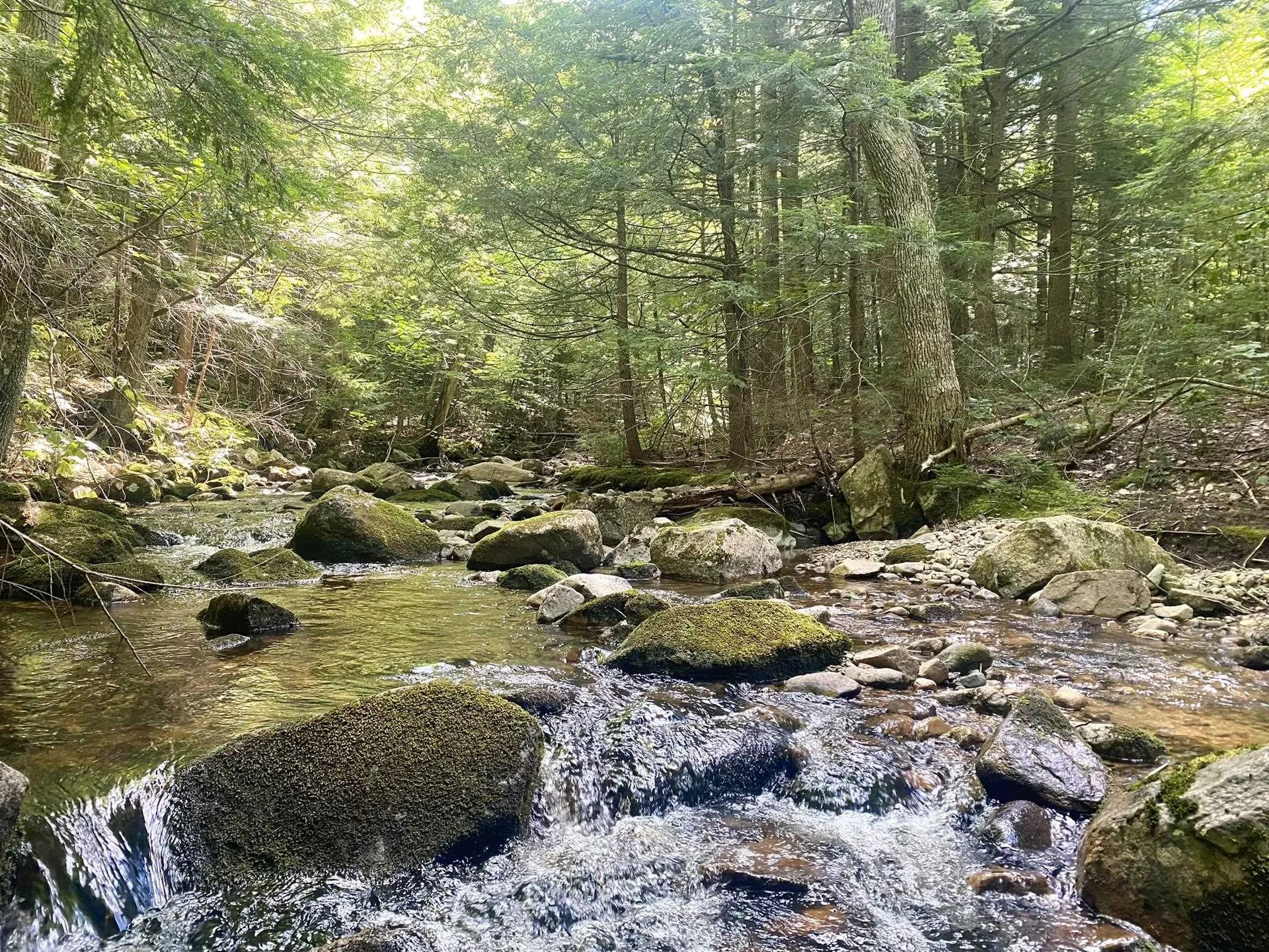 Willis Bean Road Eaton NH 03832