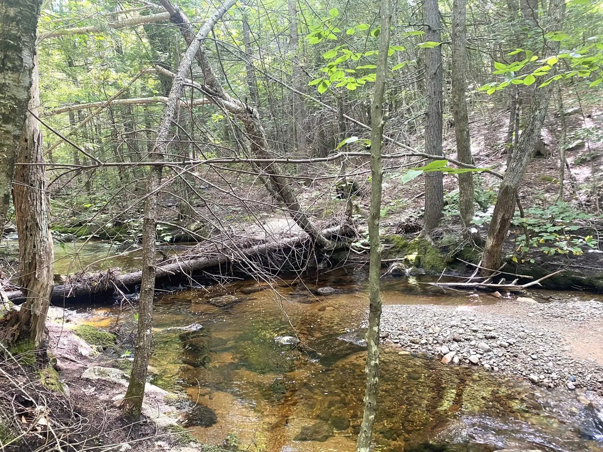 Willis Bean Road Eaton NH 03832