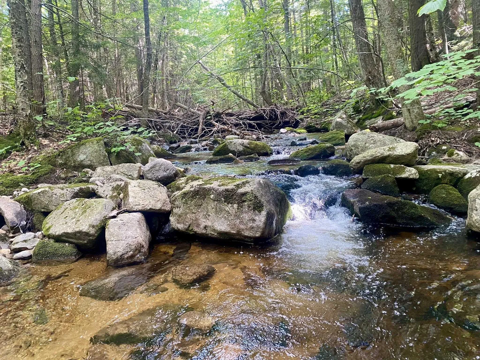 Willis Bean Road Eaton NH 03832