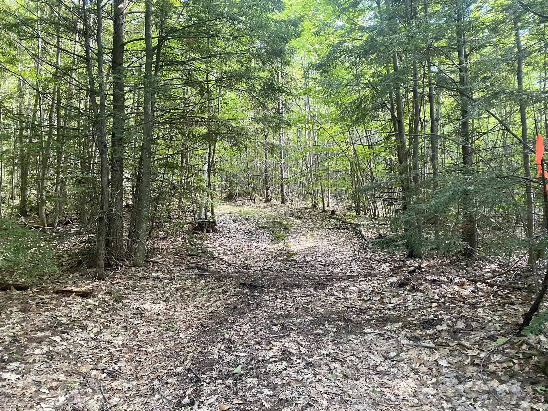 Willis Bean Road Eaton NH 03832