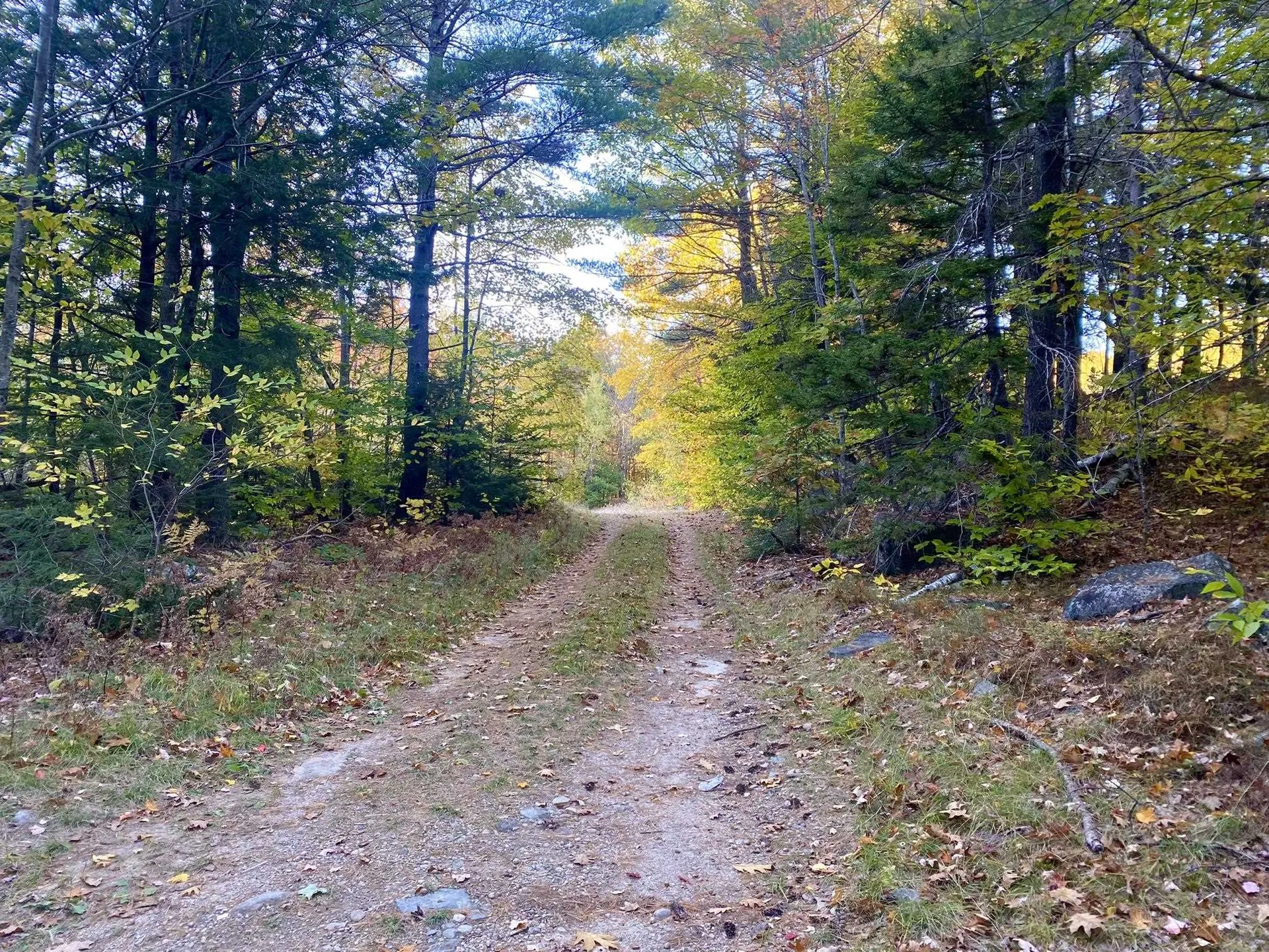 Willis Bean Road Eaton NH 03832