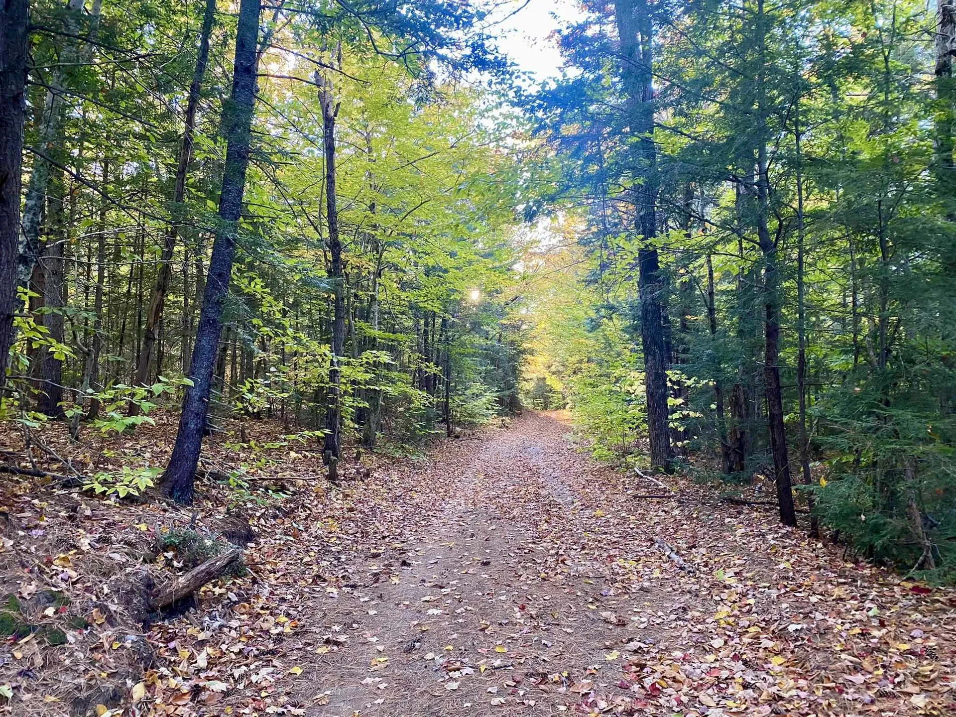 Willis Bean Road Eaton NH 03832
