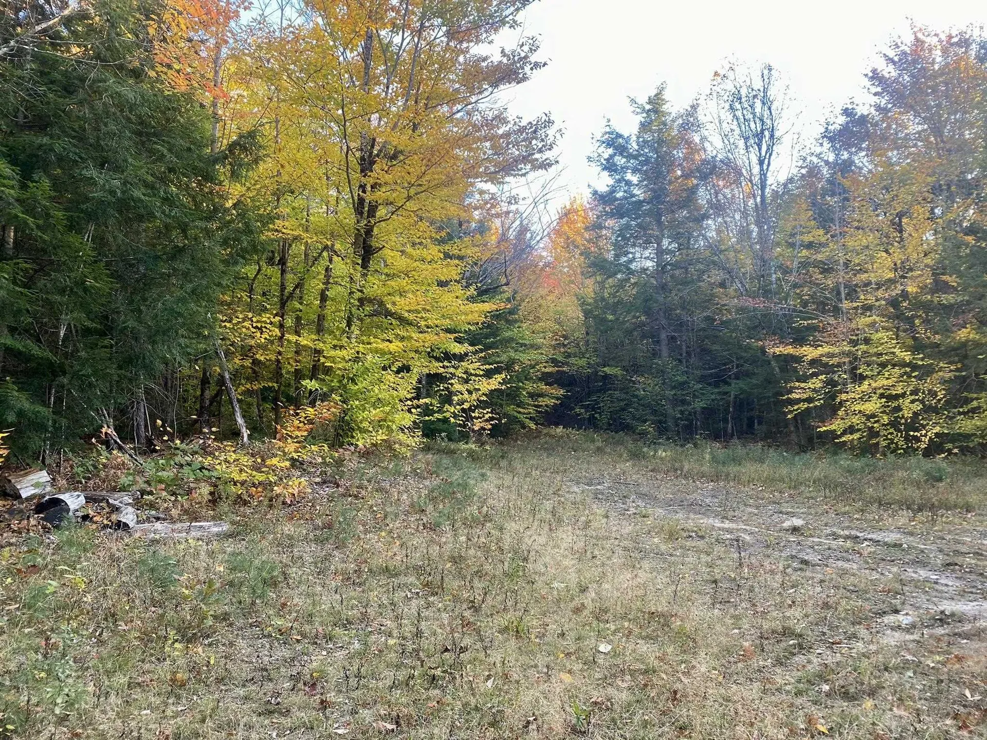 Willis Bean Road Eaton NH 03832