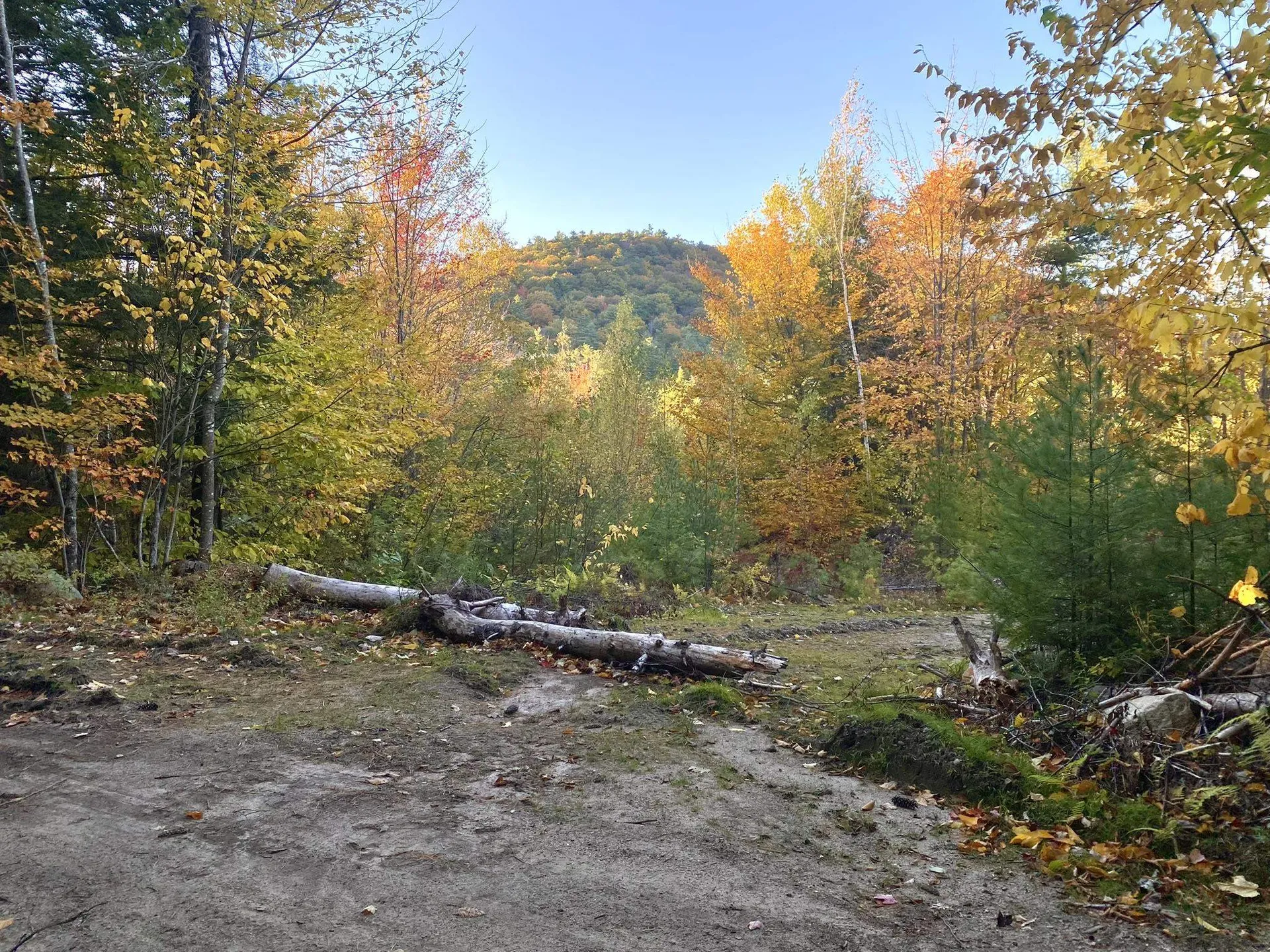 Willis Bean Road Eaton NH 03832