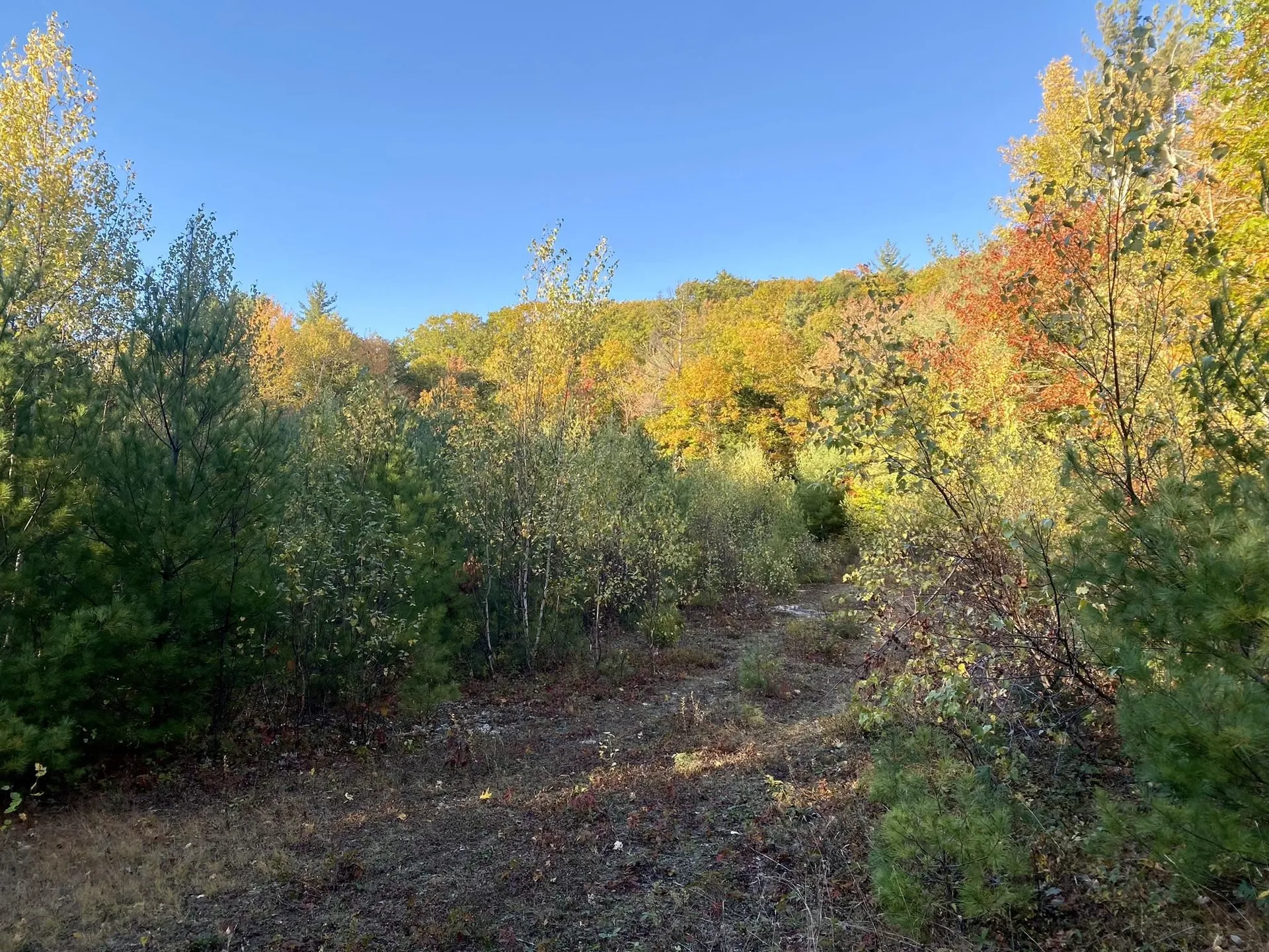 Willis Bean Road Eaton NH 03832