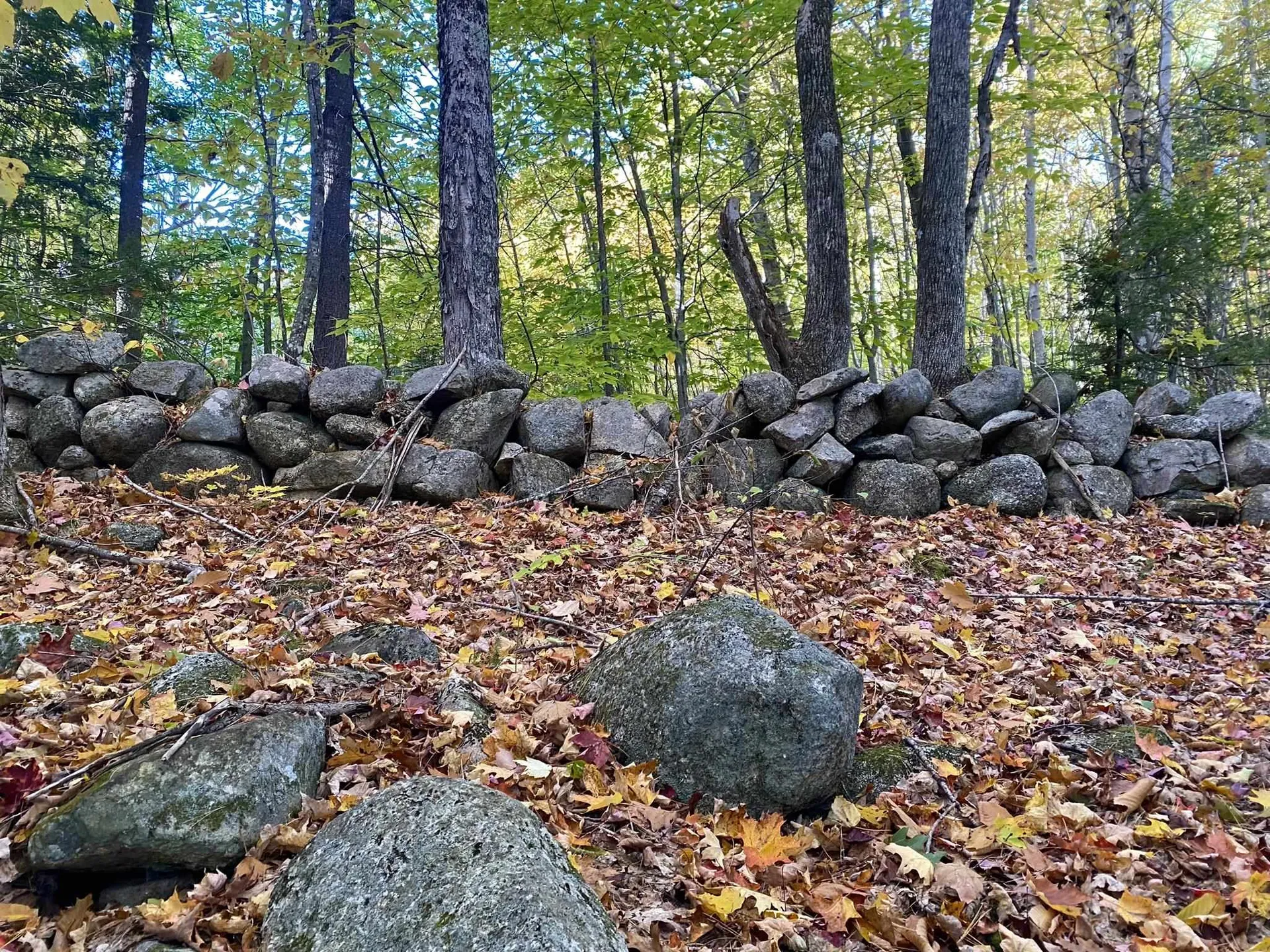 Willis Bean Road Eaton NH 03832