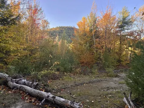 Willis Bean Road Eaton NH 03832