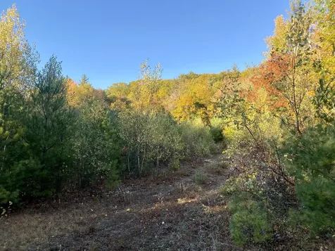 Willis Bean Road Eaton NH 03832