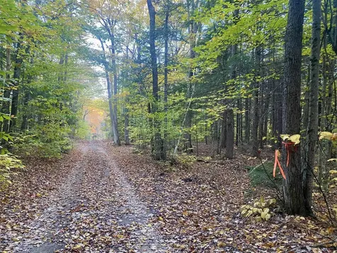 Willis Bean Road Eaton NH 03832
