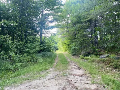 Willis Bean Road Eaton NH 03832