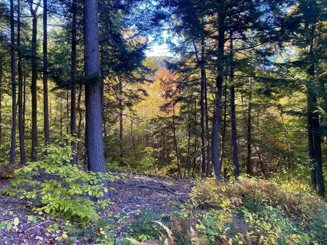 Willis Bean Road Eaton NH 03832