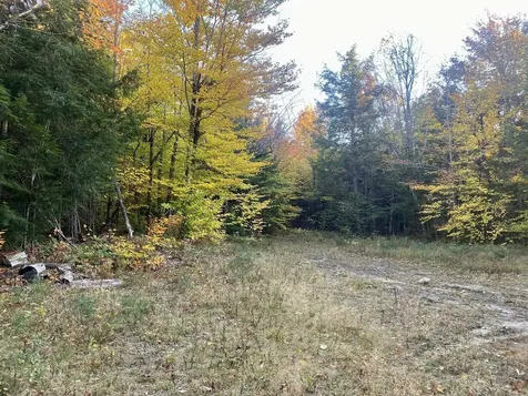 Willis Bean Road Eaton NH 03832