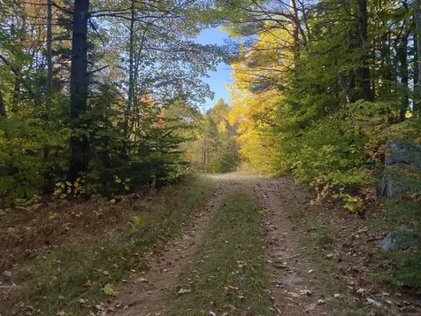 Willis Bean Road Eaton NH 03832