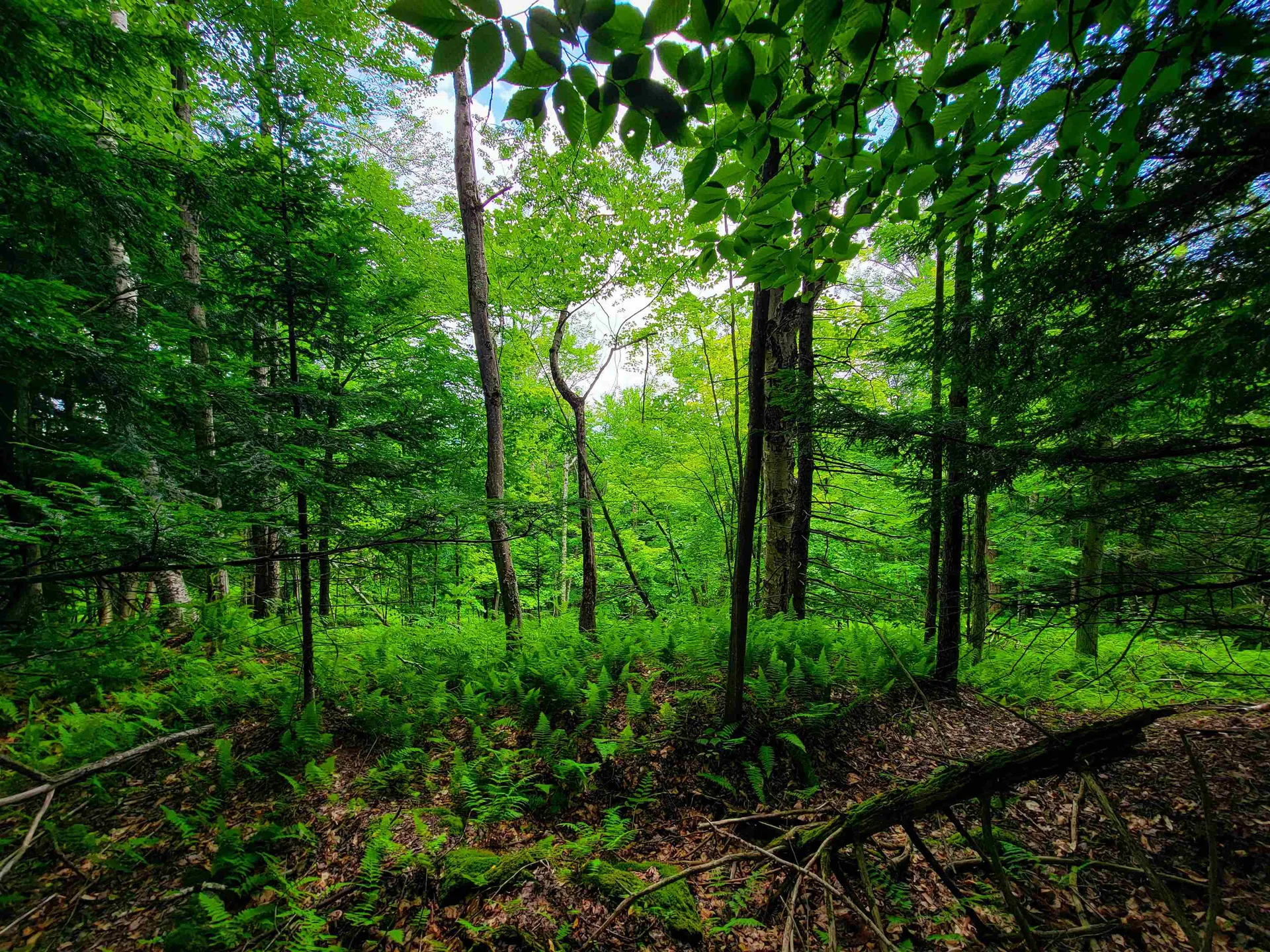 1730 Sinclair Road Johnson VT 05656