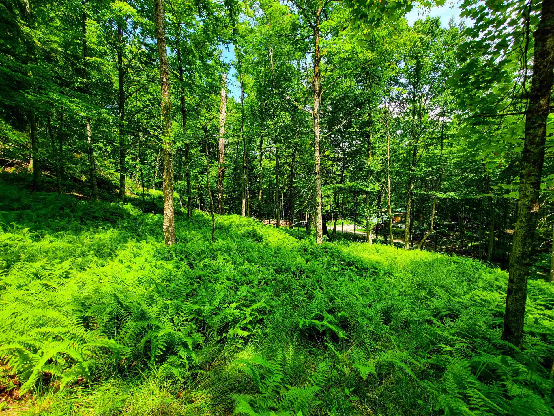 1730 Sinclair Road Johnson VT 05656