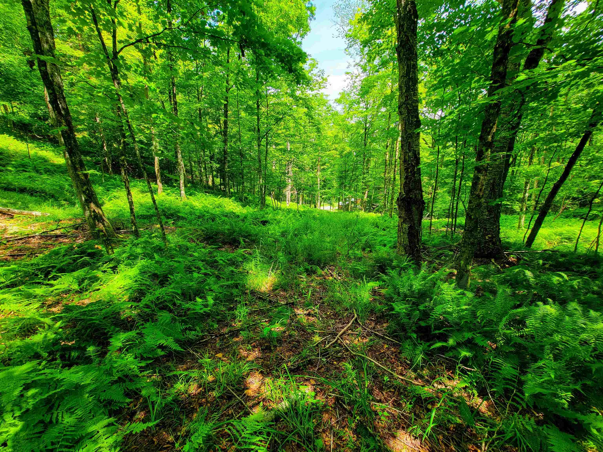 1730 Sinclair Road Johnson VT 05656
