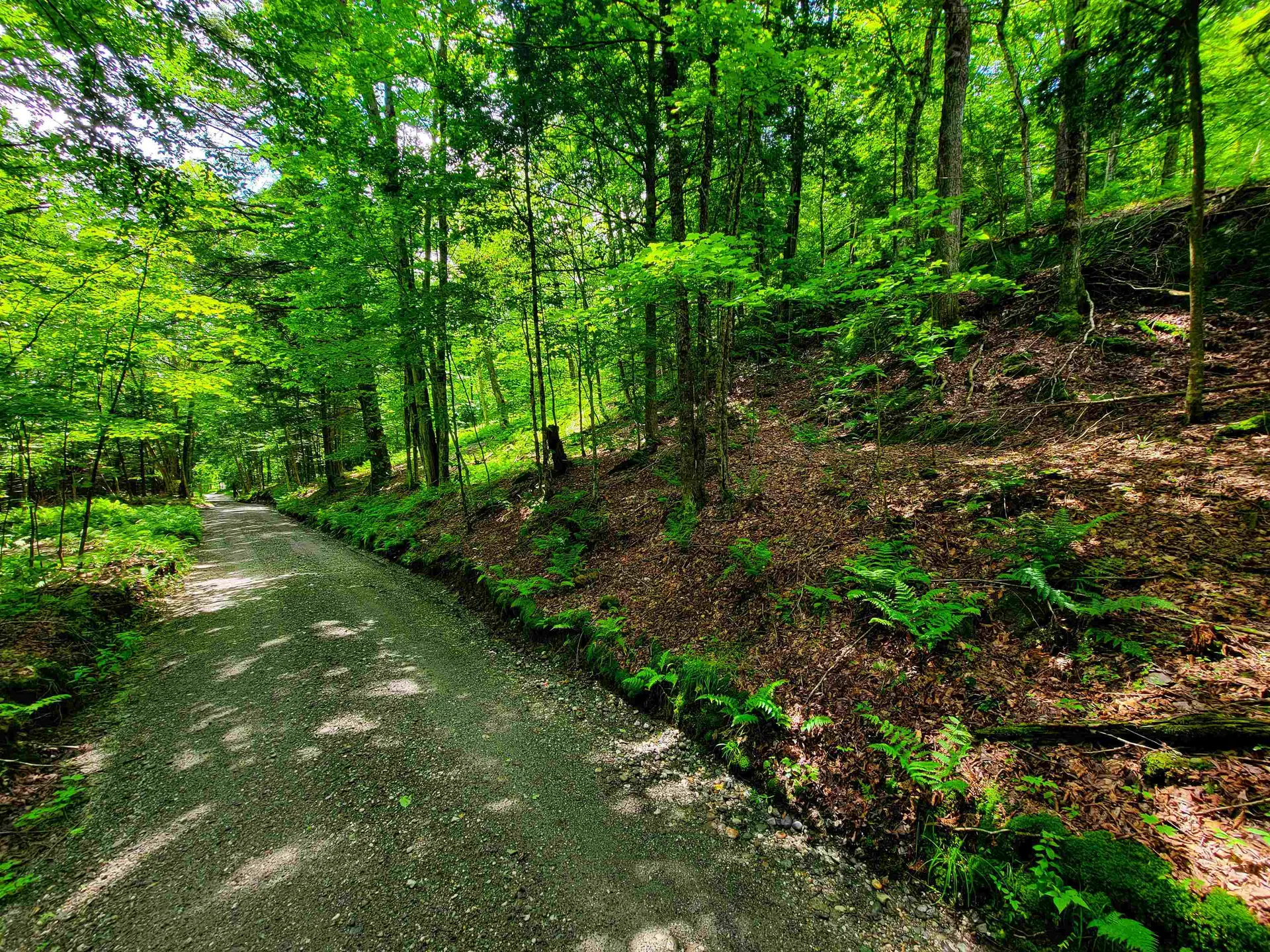 1730 Sinclair Road Johnson VT 05656