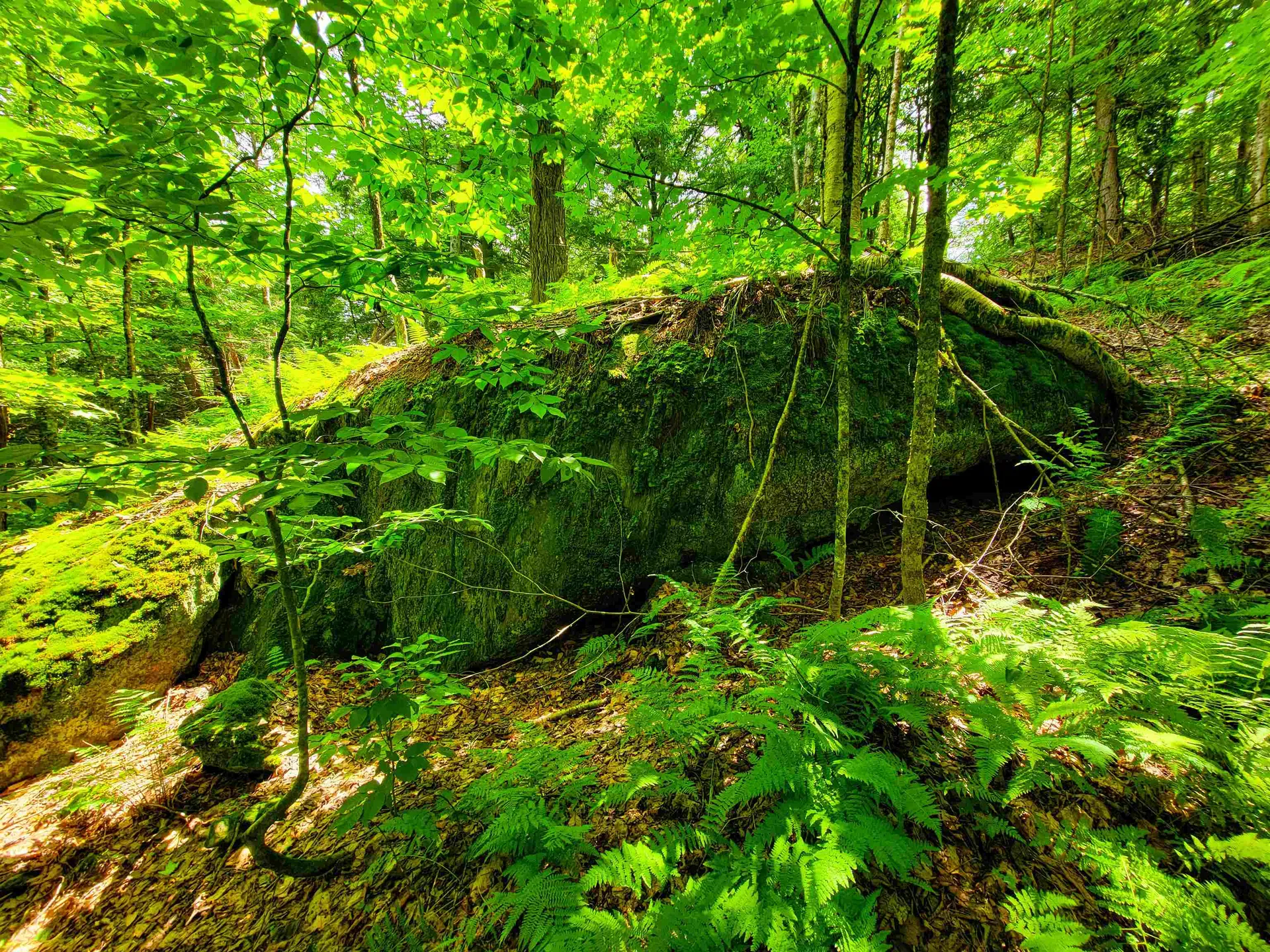 1730 Sinclair Road Johnson VT 05656
