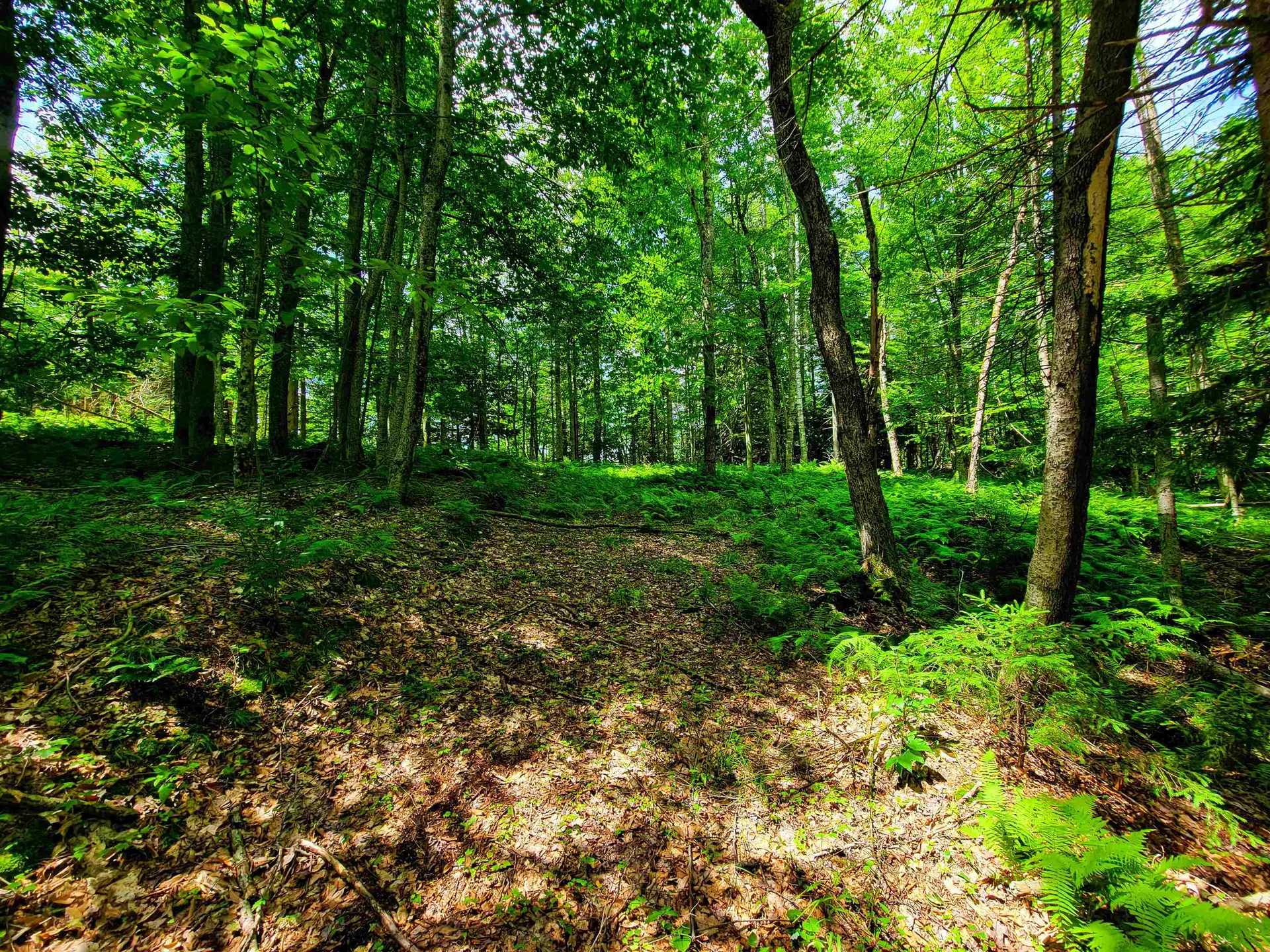 1730 Sinclair Road Johnson VT 05656