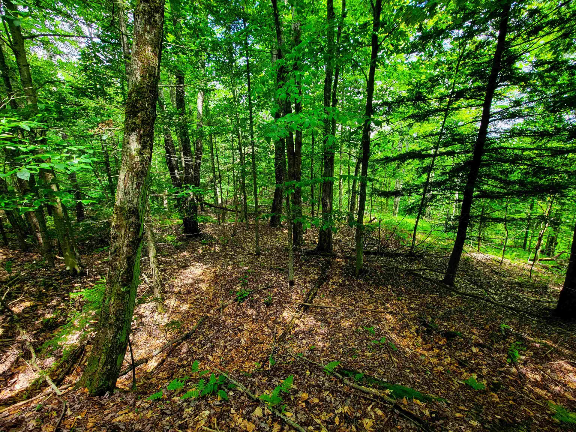 1730 Sinclair Road Johnson VT 05656