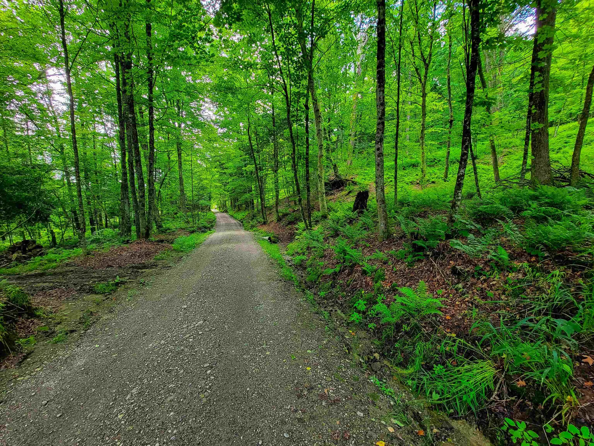 1730 Sinclair Road Johnson VT 05656
