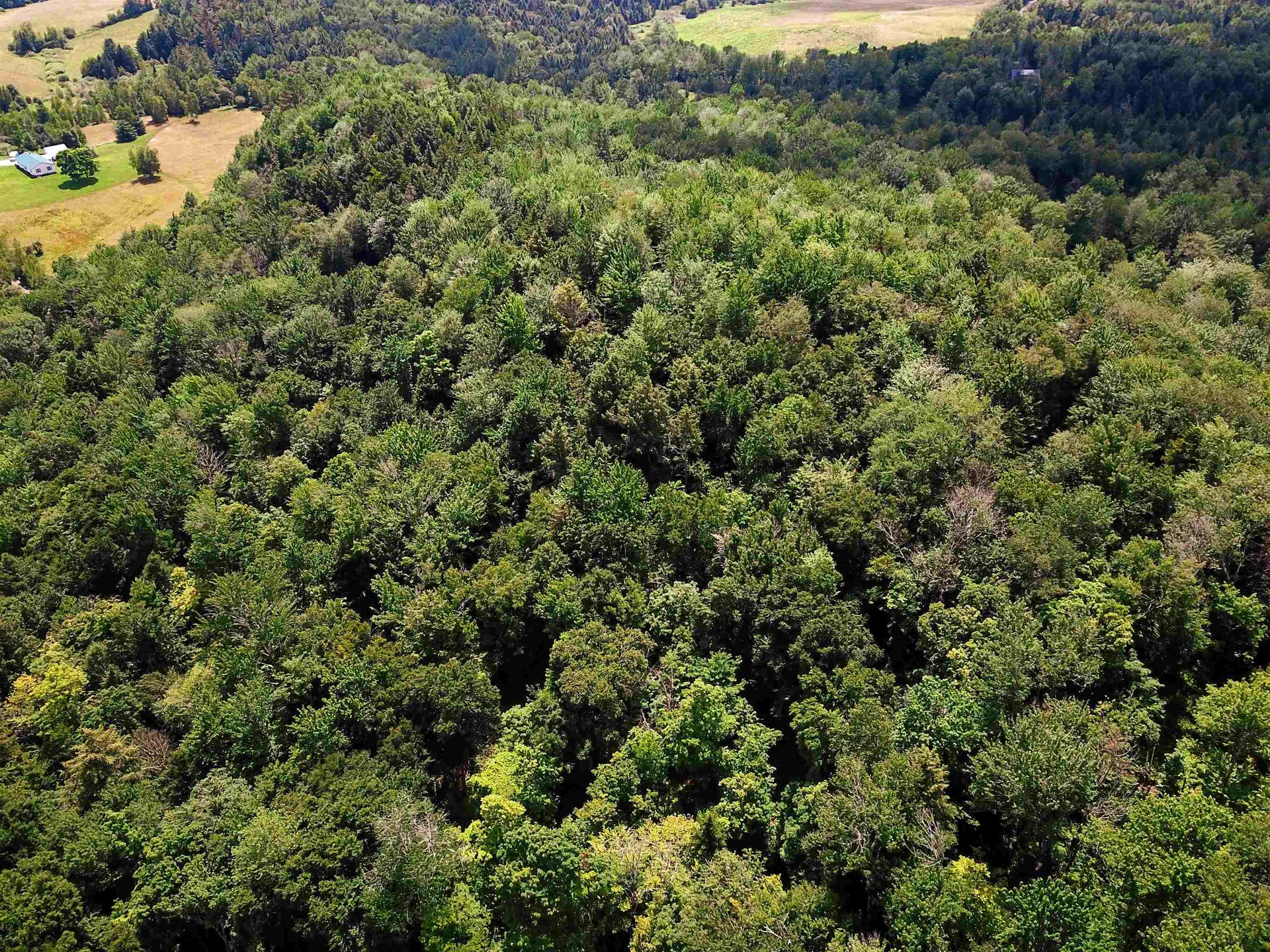 1730 Sinclair Road Johnson VT 05656