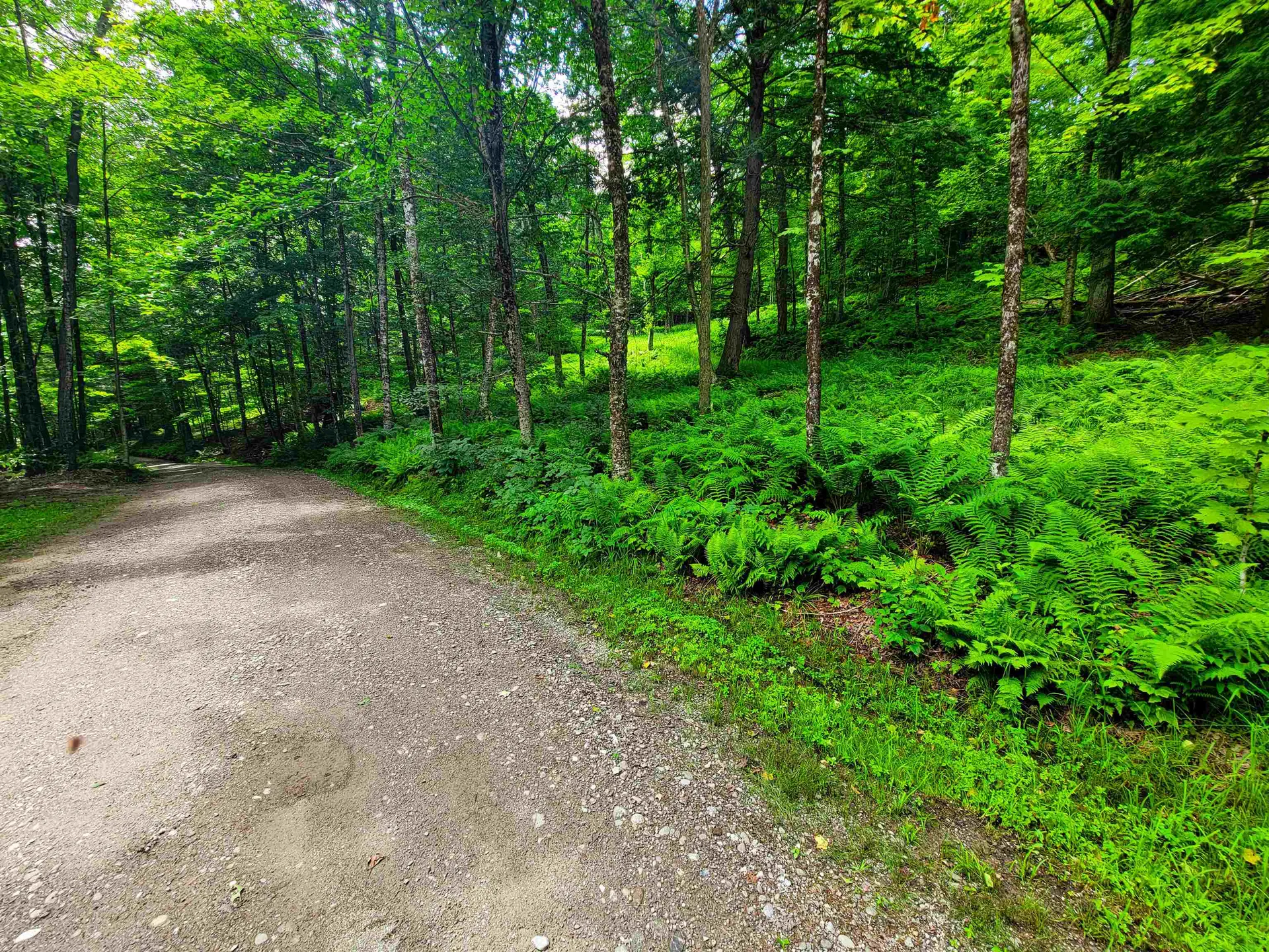 1730 Sinclair Road Johnson VT 05656
