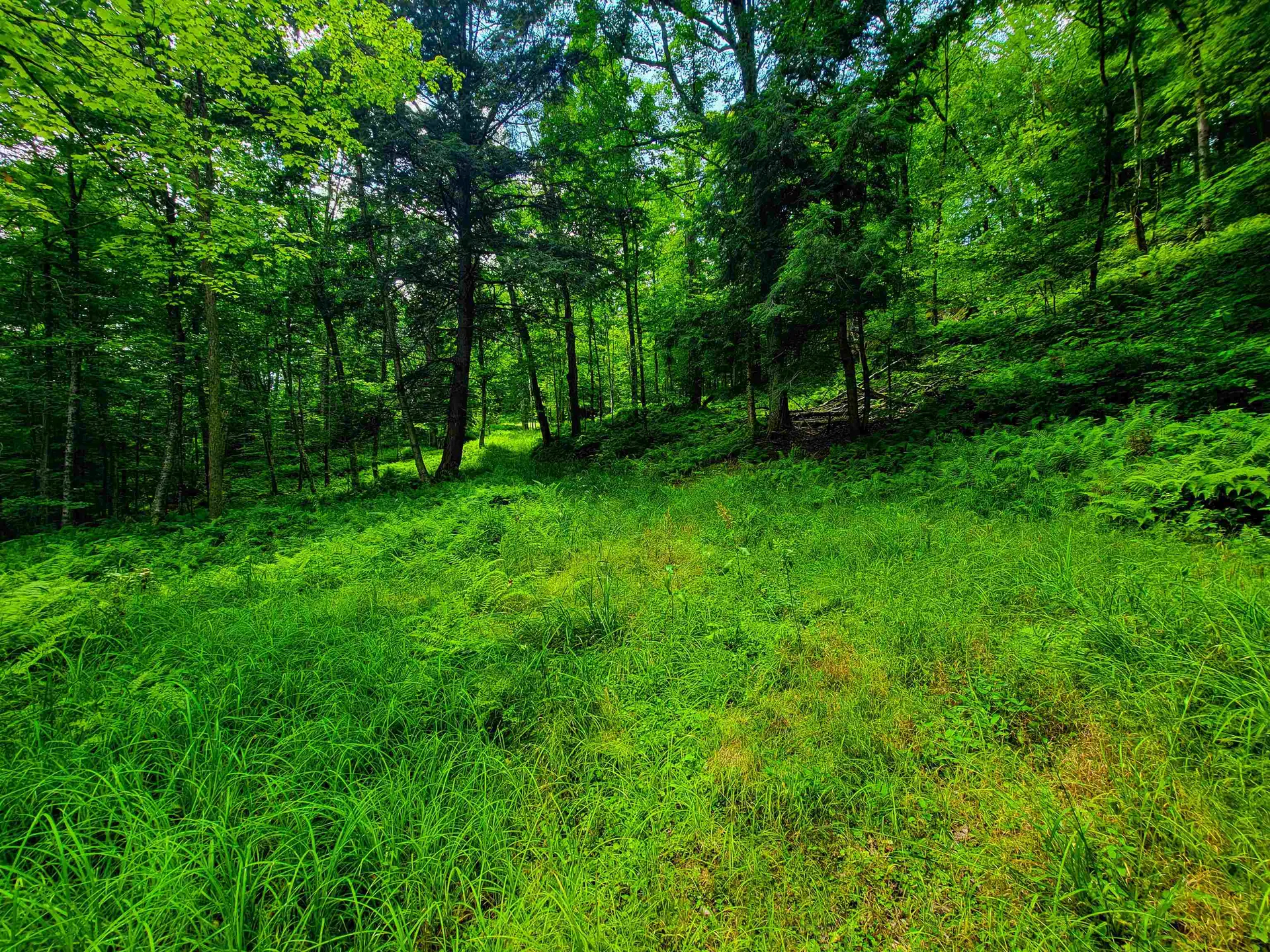 1730 Sinclair Road Johnson VT 05656