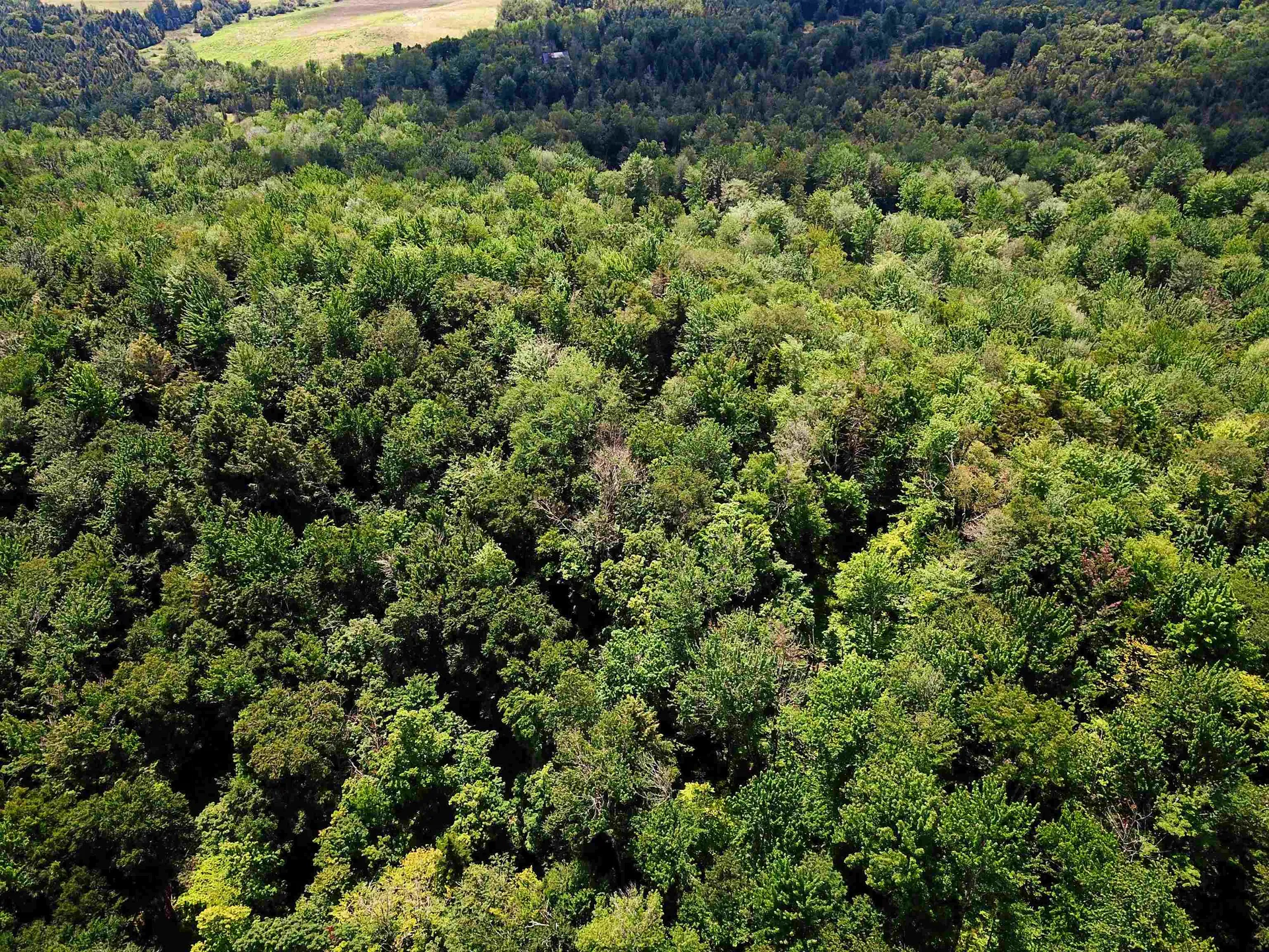 1730 Sinclair Road Johnson VT 05656
