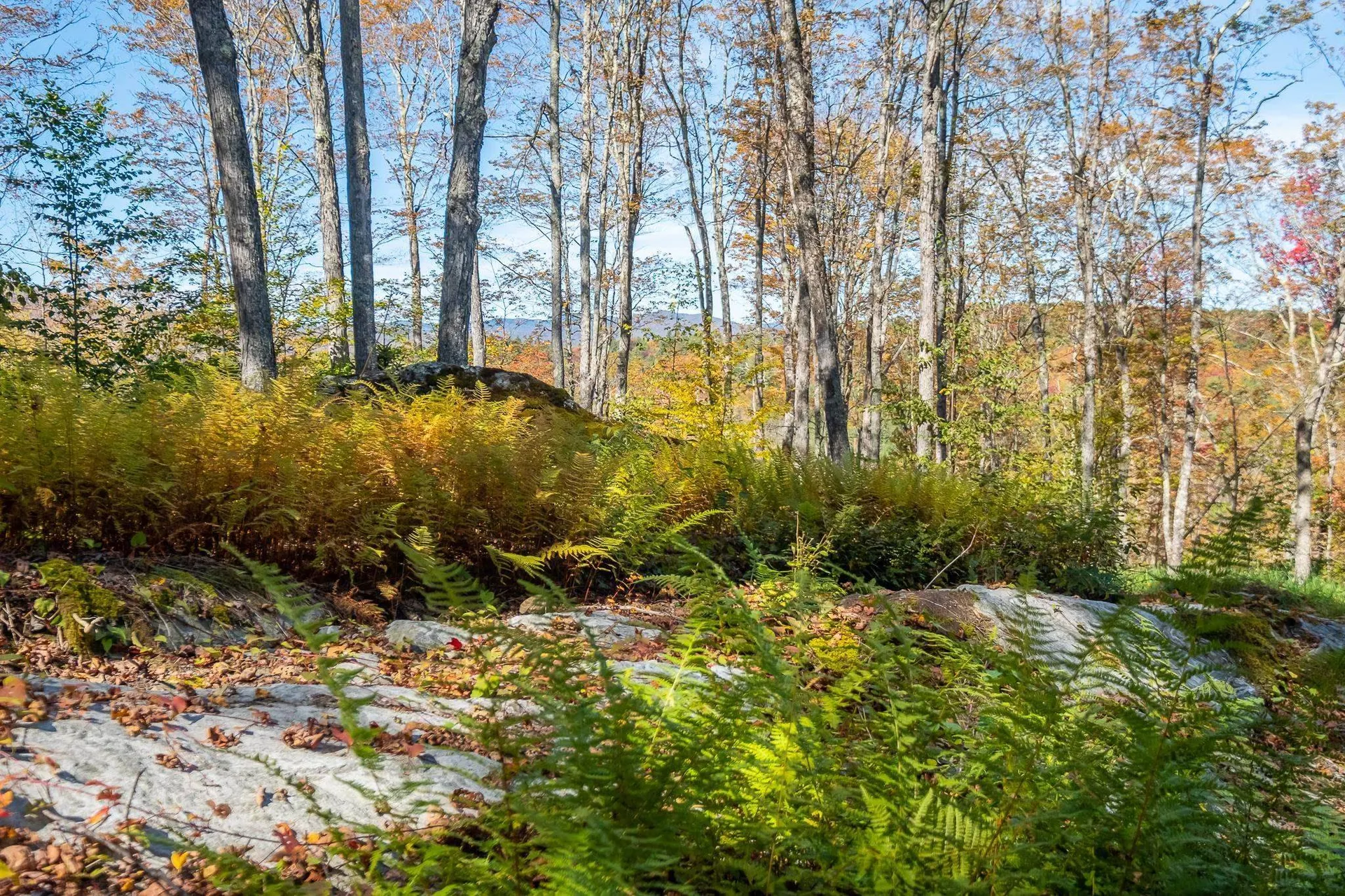 952 Bethel Mountain Road Rochester VT 05767