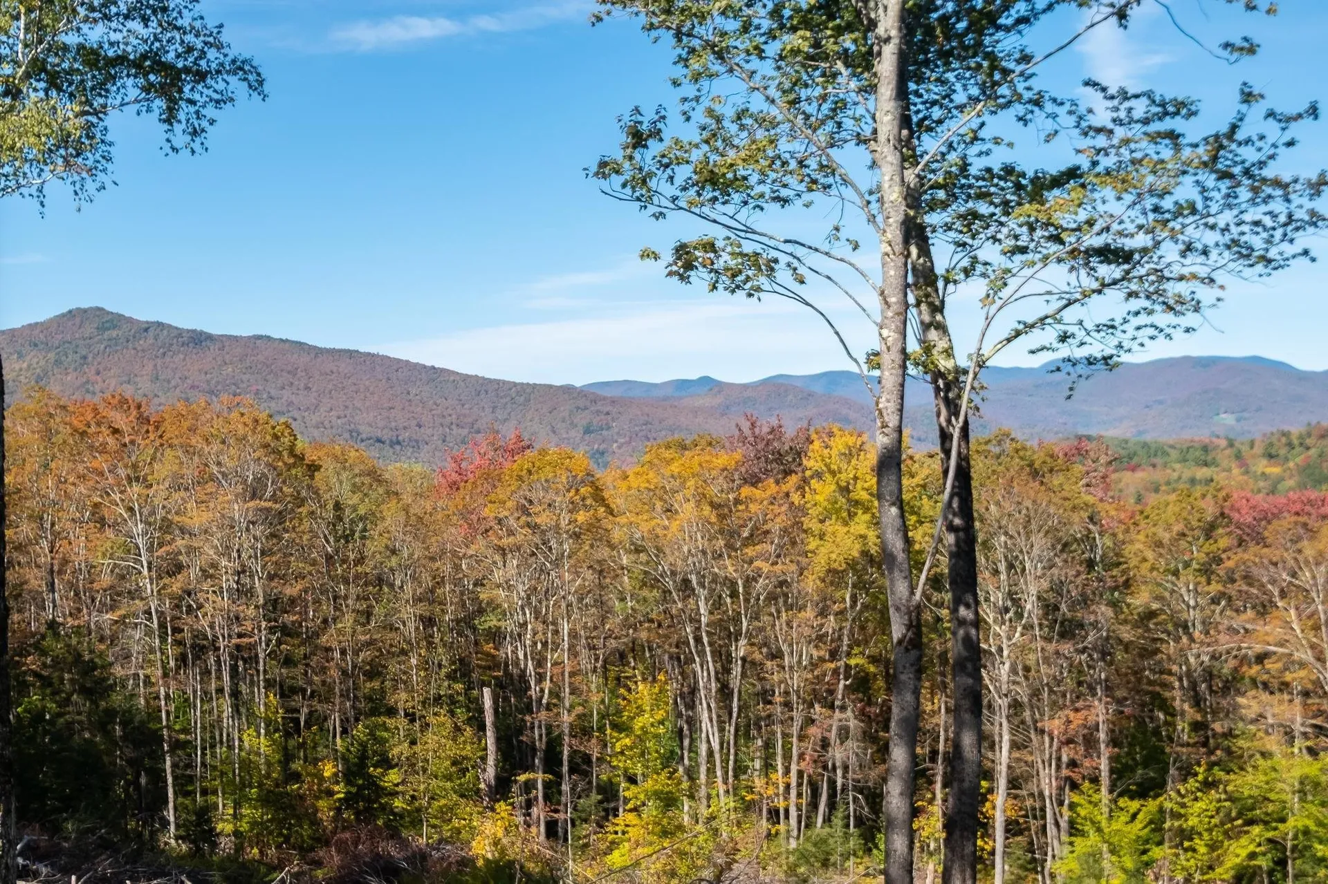 952 Bethel Mountain Road Rochester VT 05767