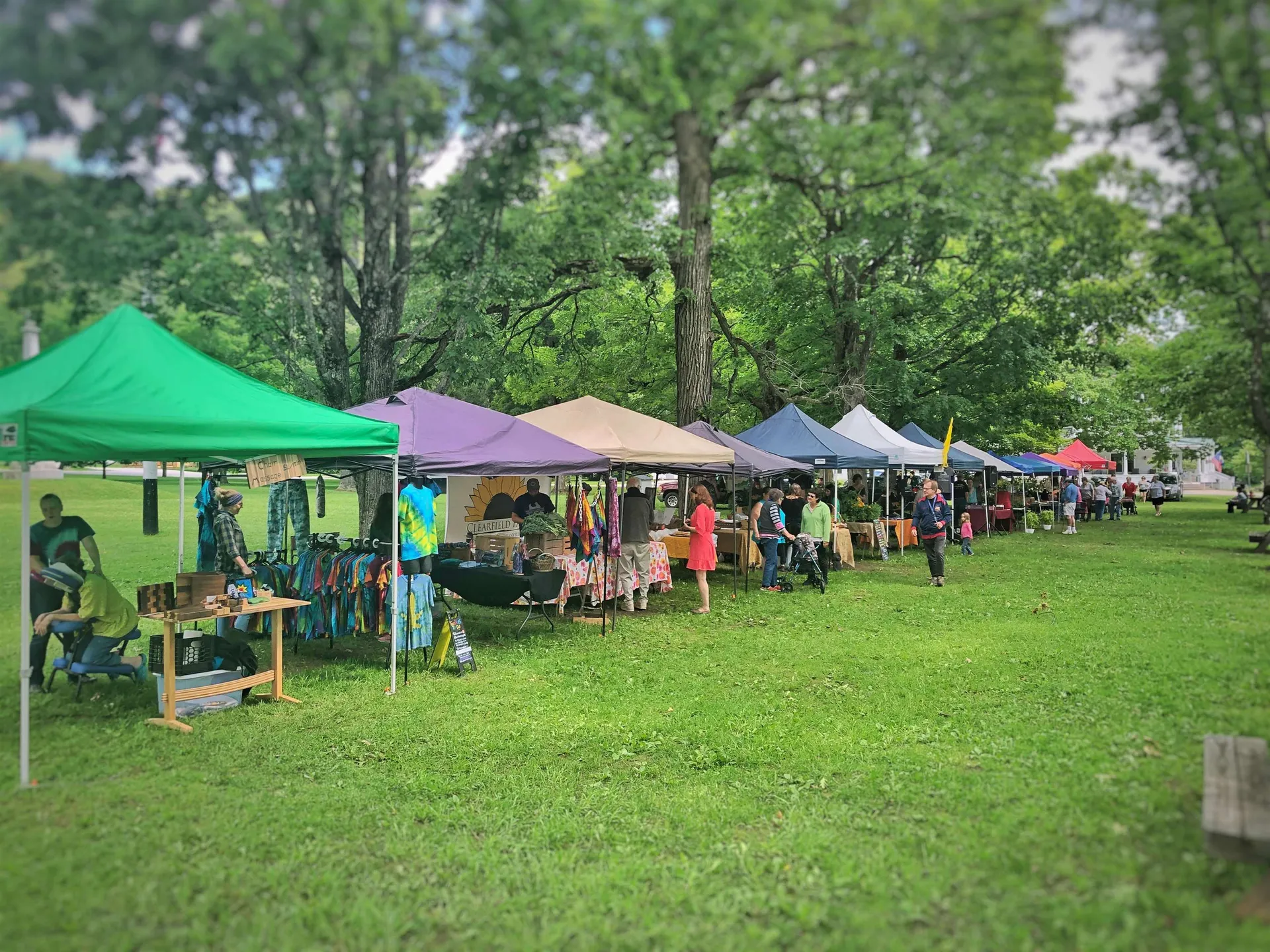 952 Bethel Mountain Road Rochester VT 05767