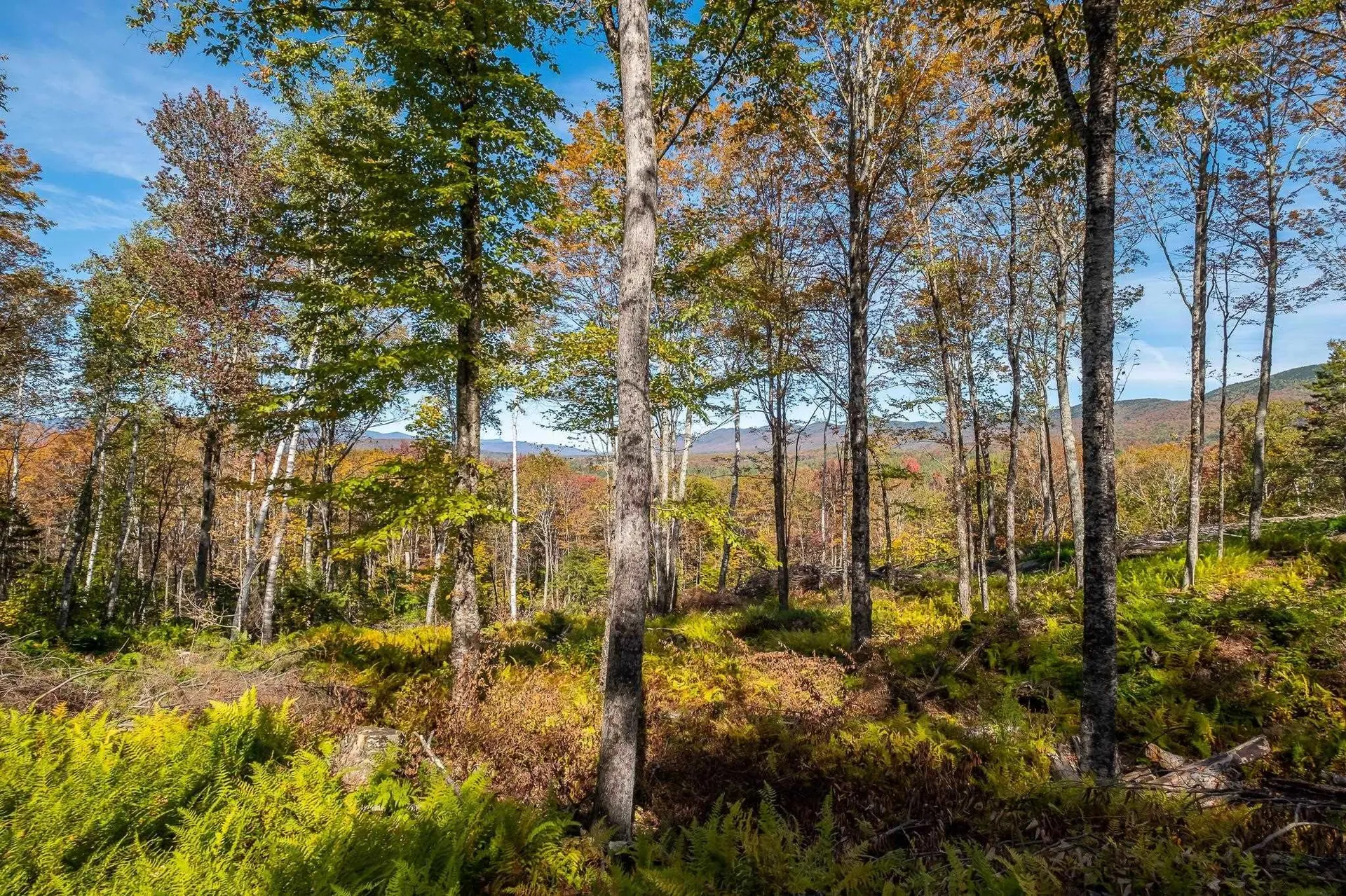 952 Bethel Mountain Road Rochester VT 05767