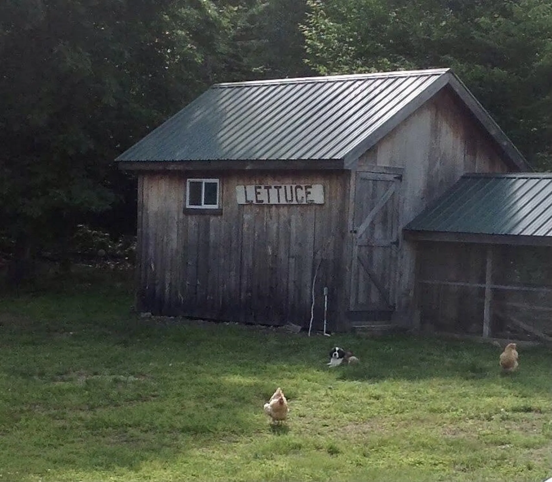 207 Ursa Ridge Brattleboro VT 05301